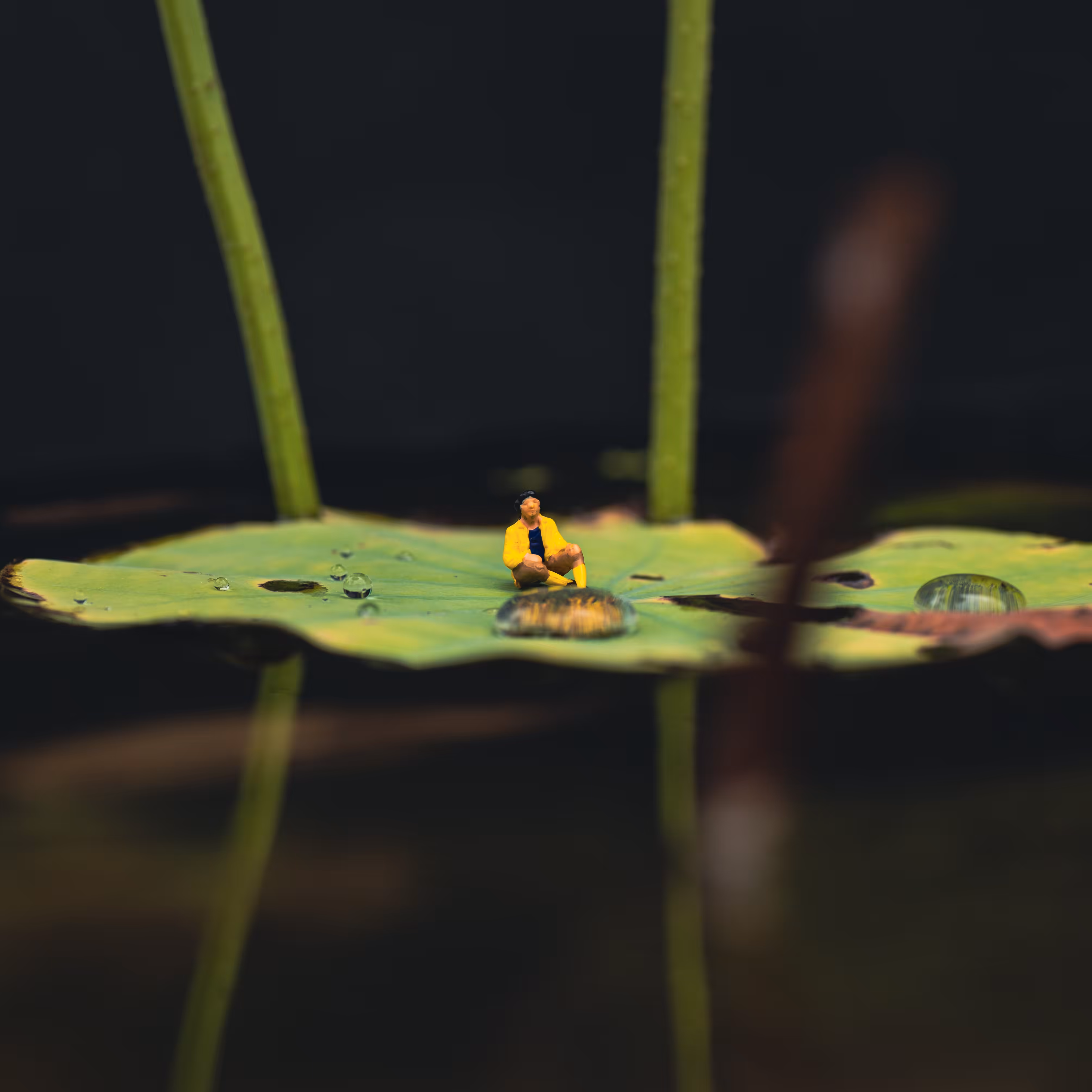 My Tiny Friends #7