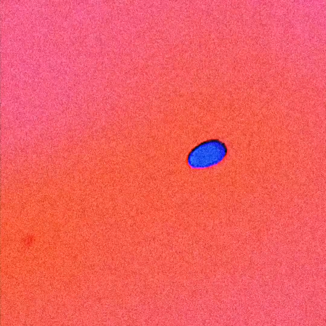 Belowsubconscious - nucleus
