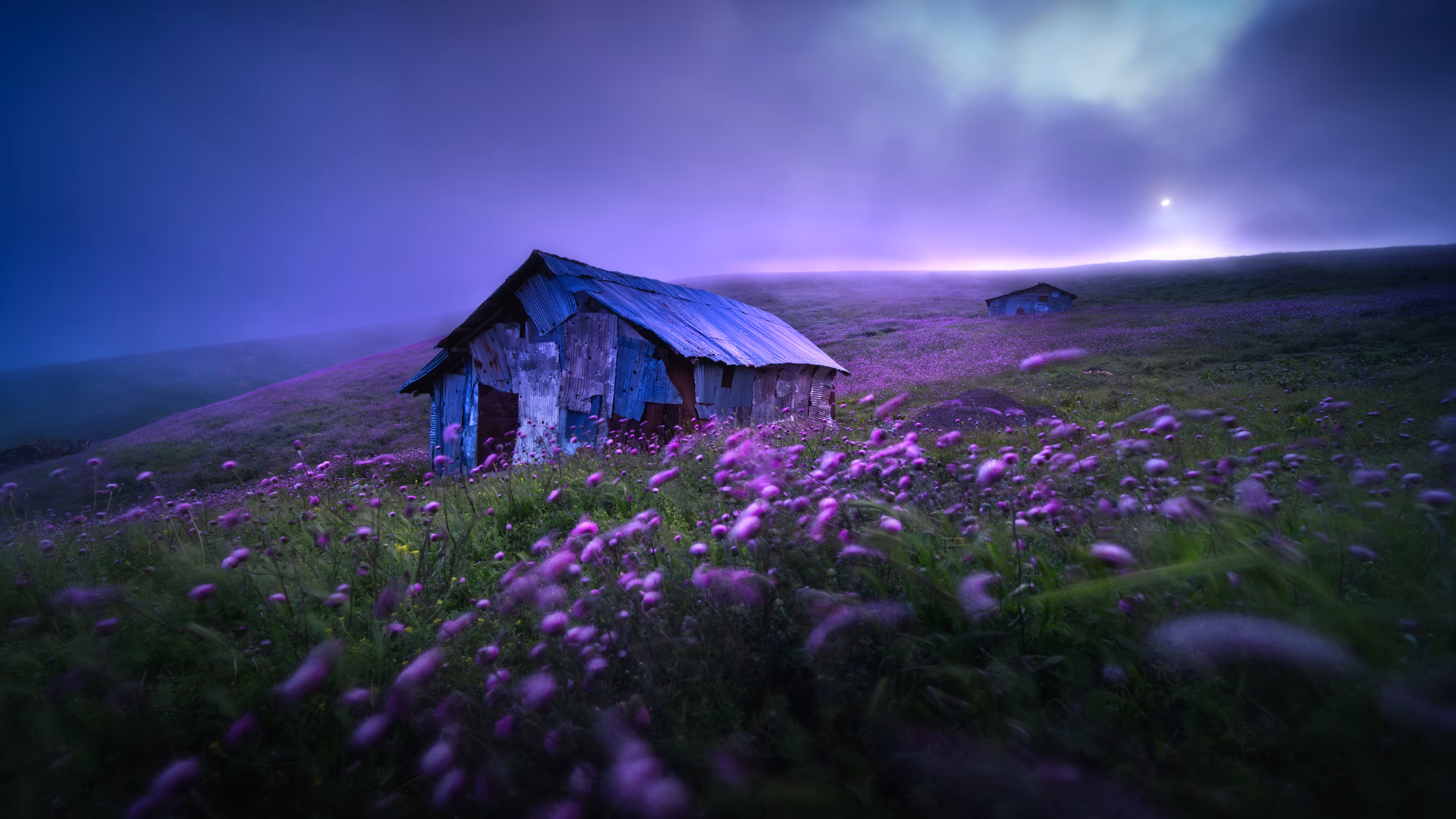 Graceful land