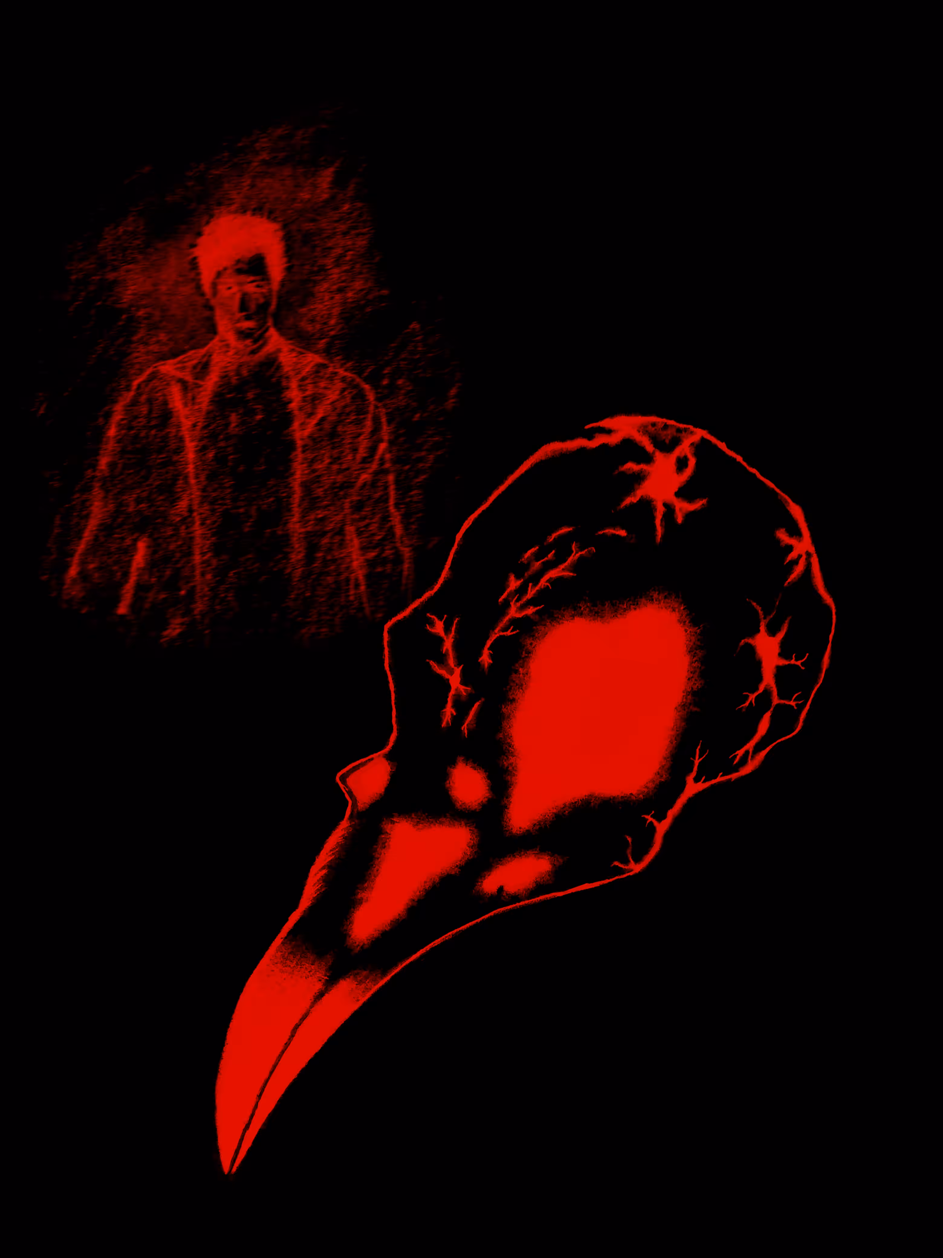 The  Raven