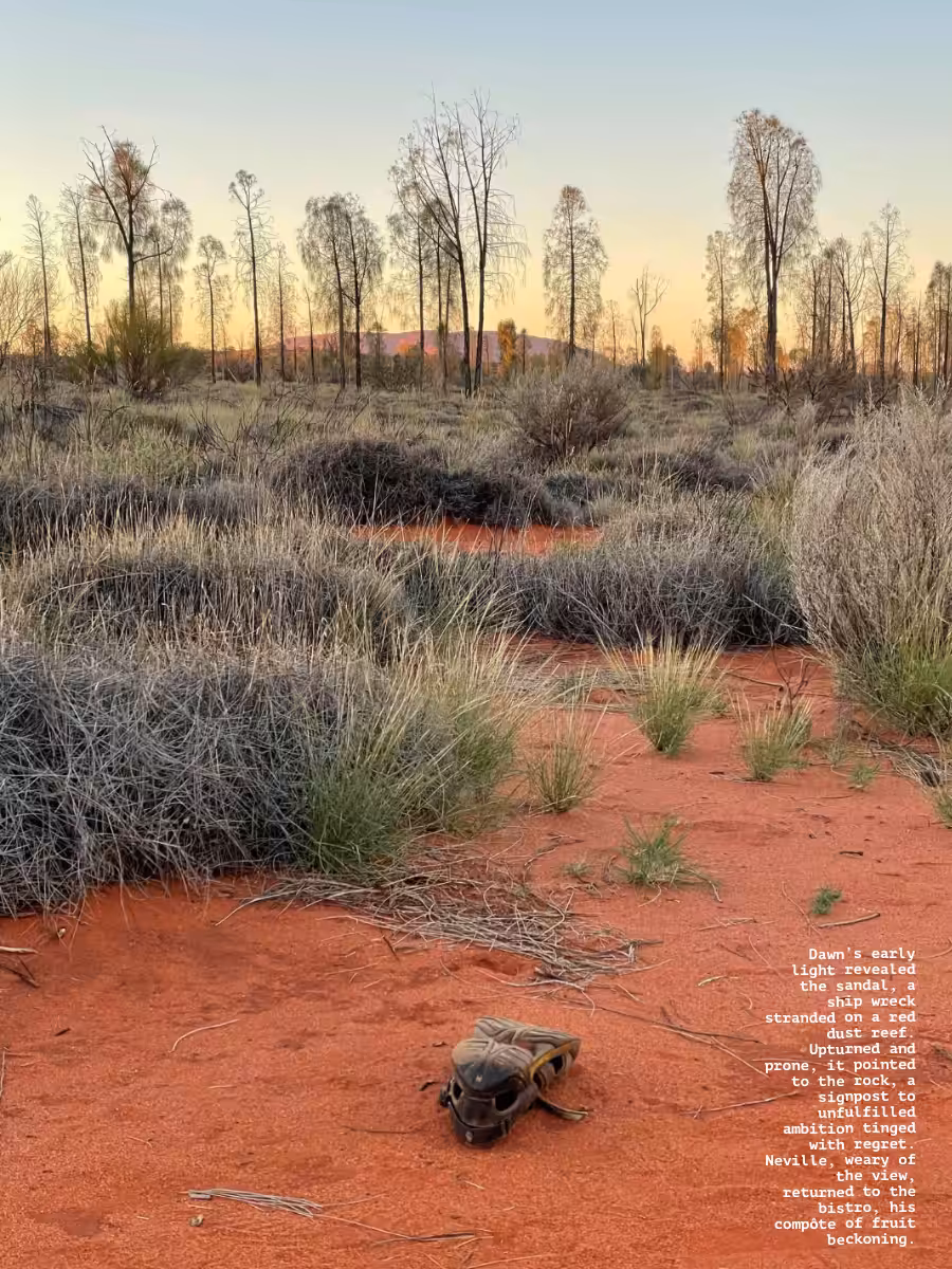 Uluru Shoe