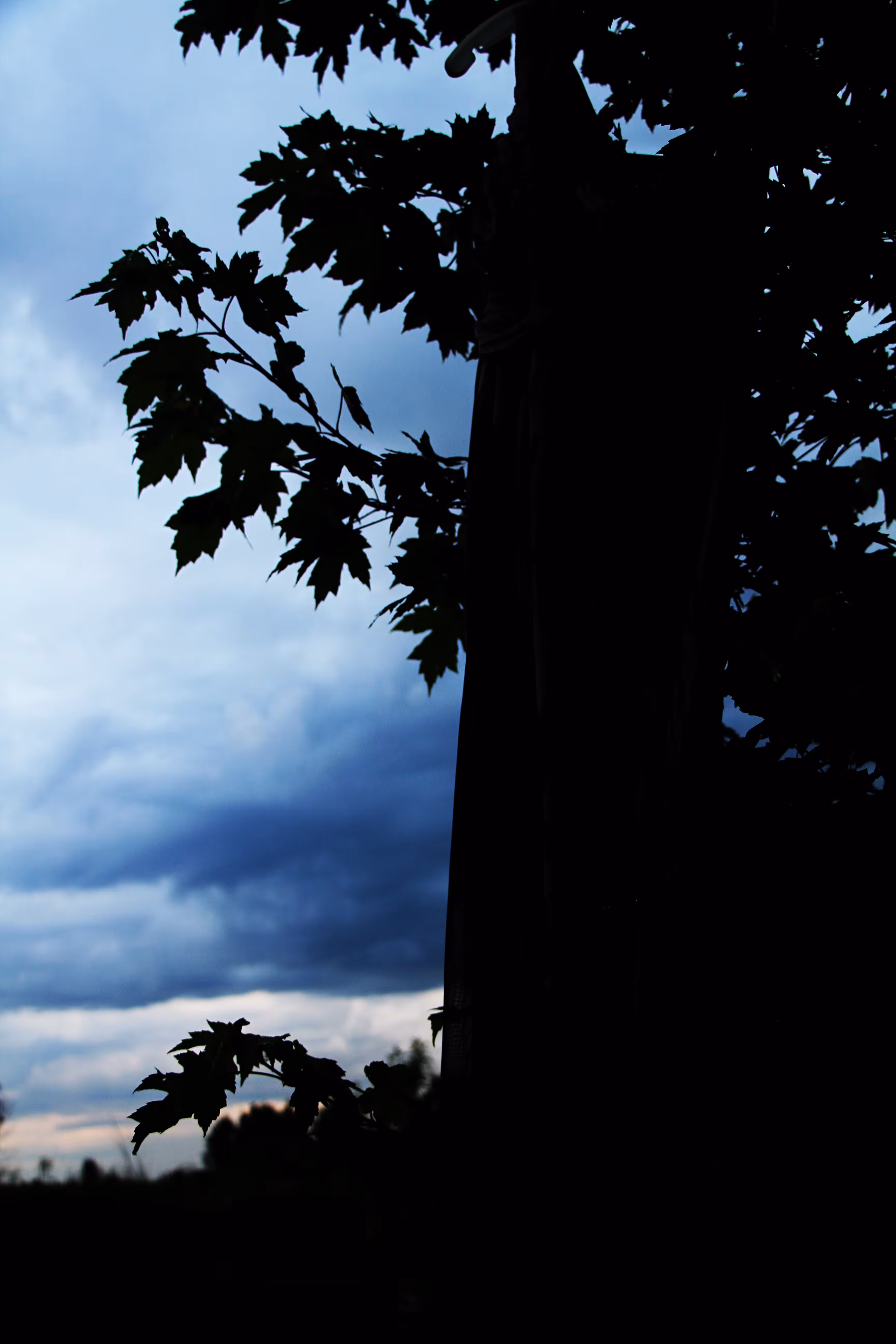 _beyond