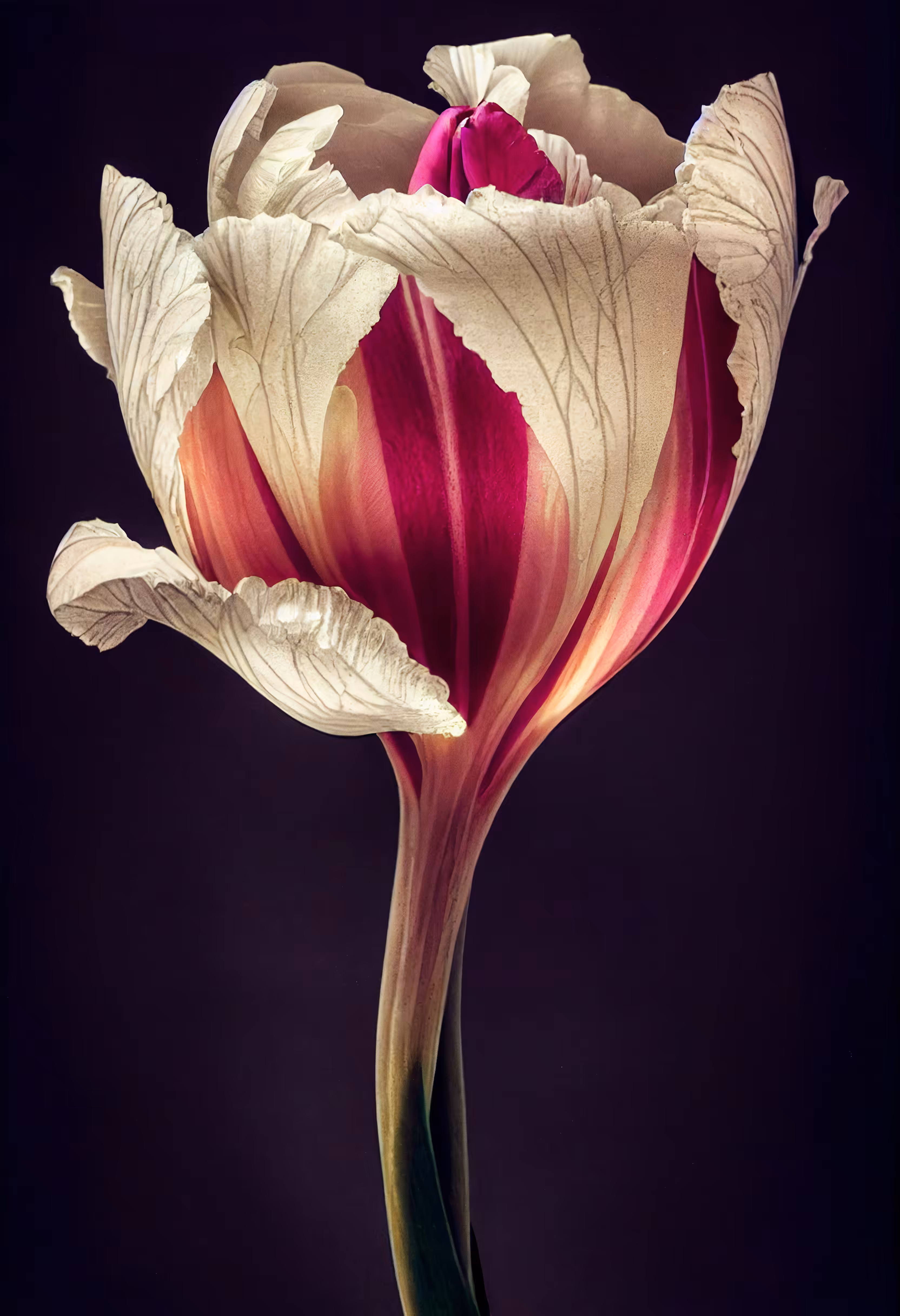 A Flower, Just For You. #80