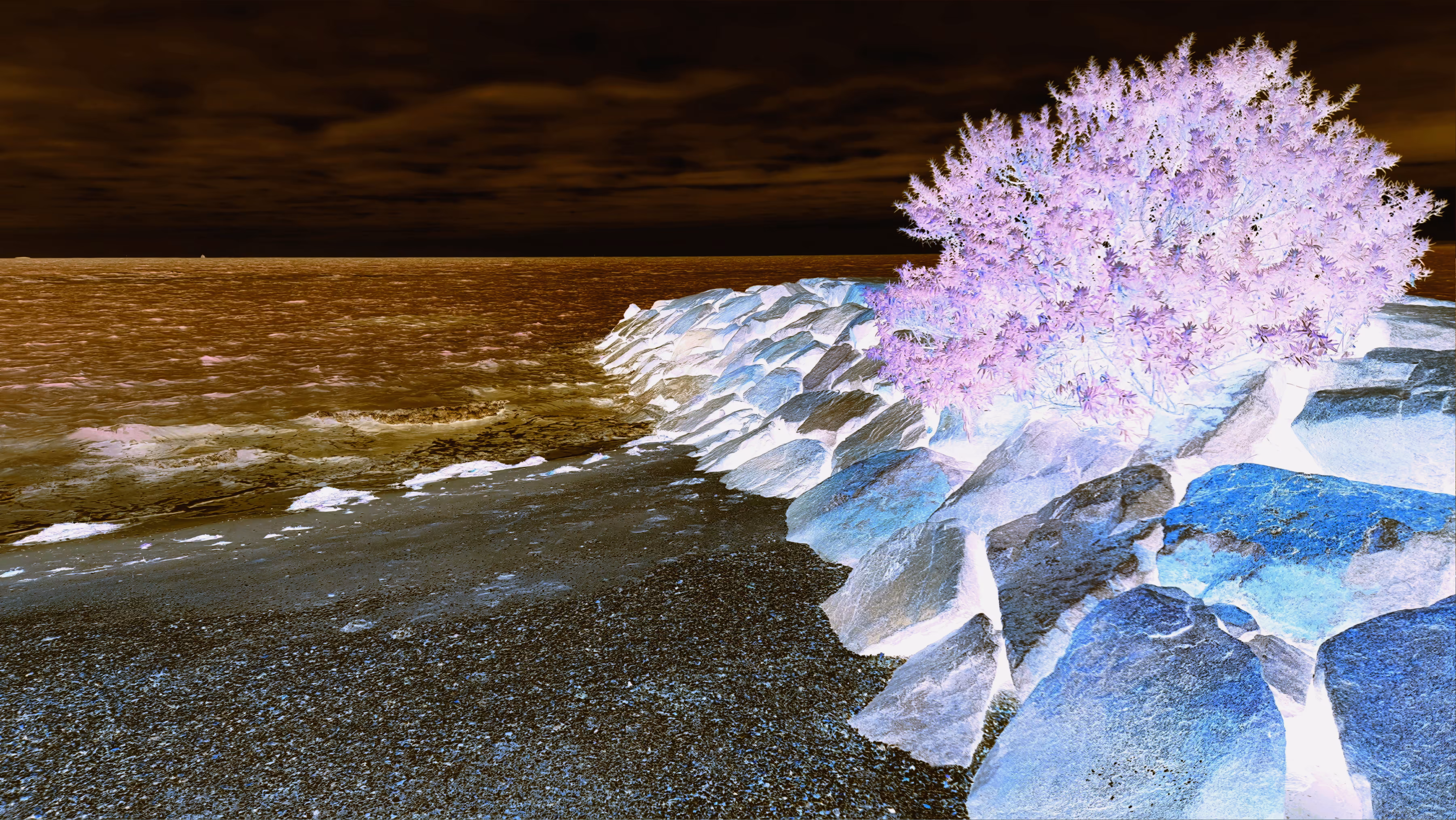 Spectral Shore