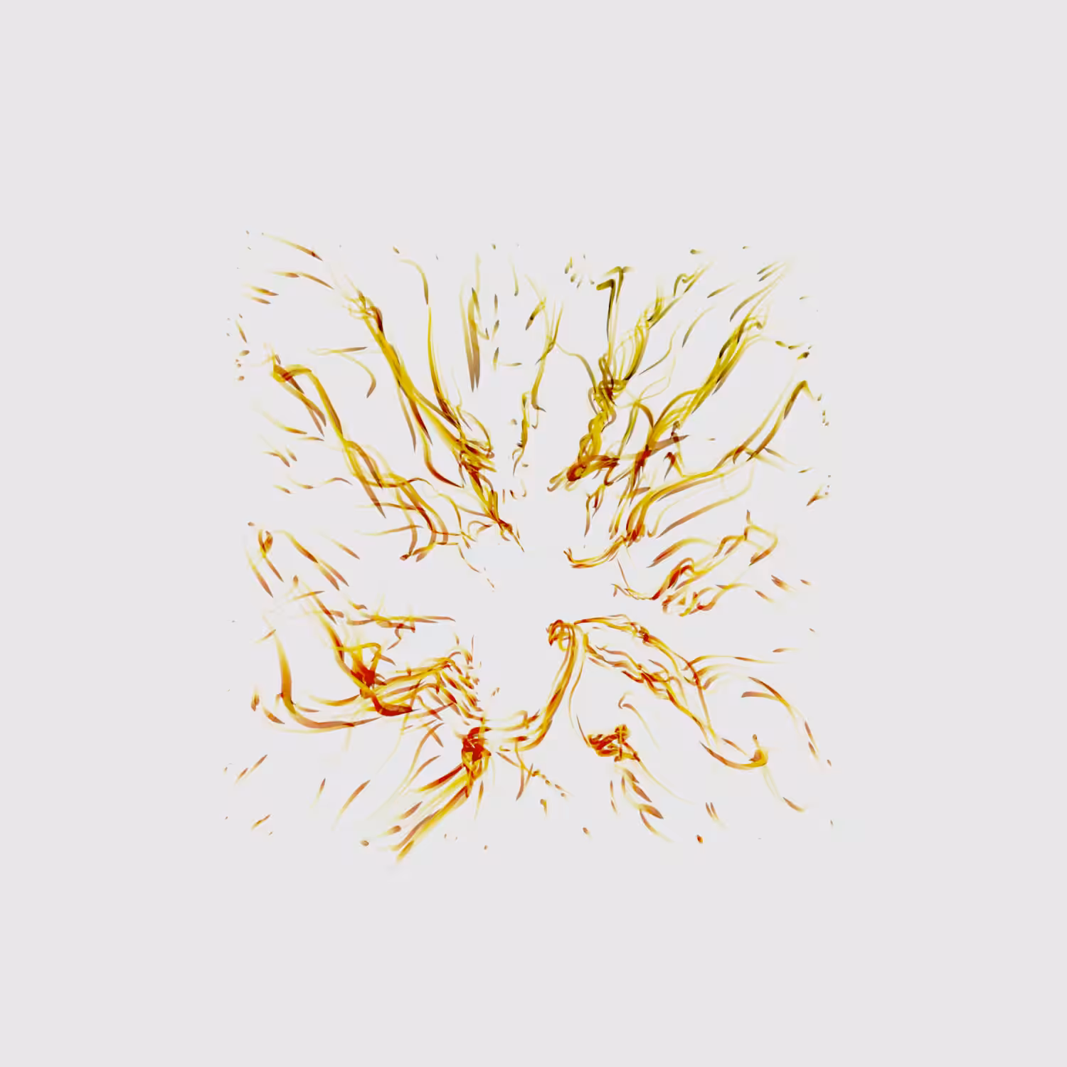 Vortex #795