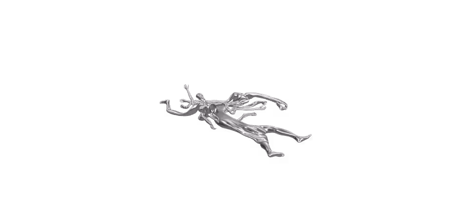 Anatomy of pain / free