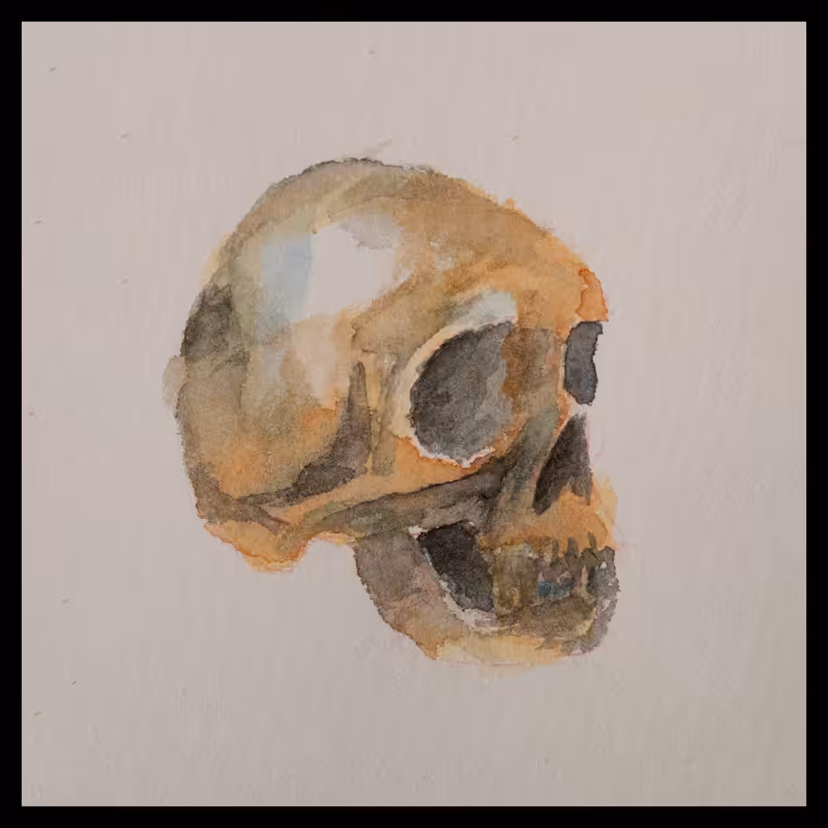 Watercolor Skull