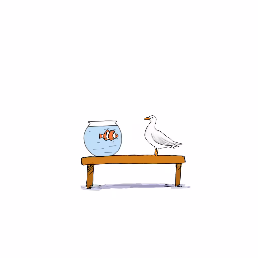 The story of fish and humans