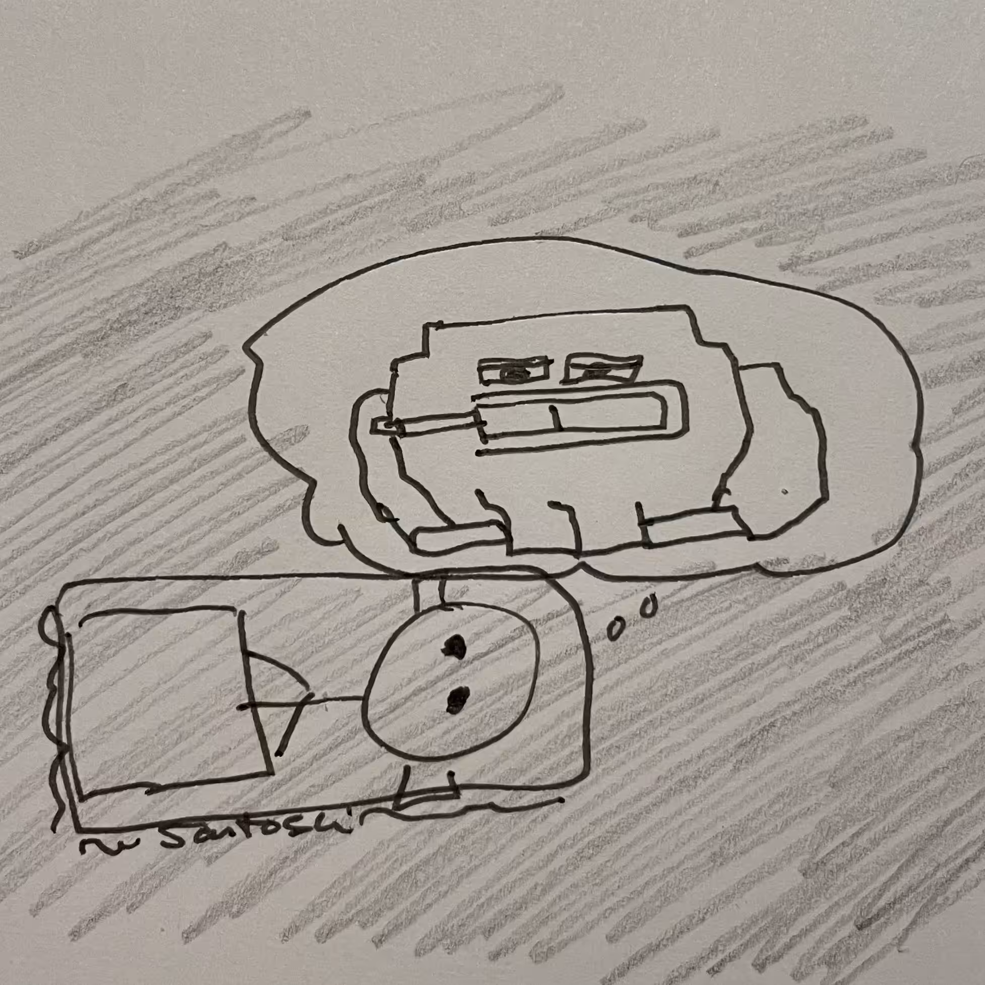 toadz nightz