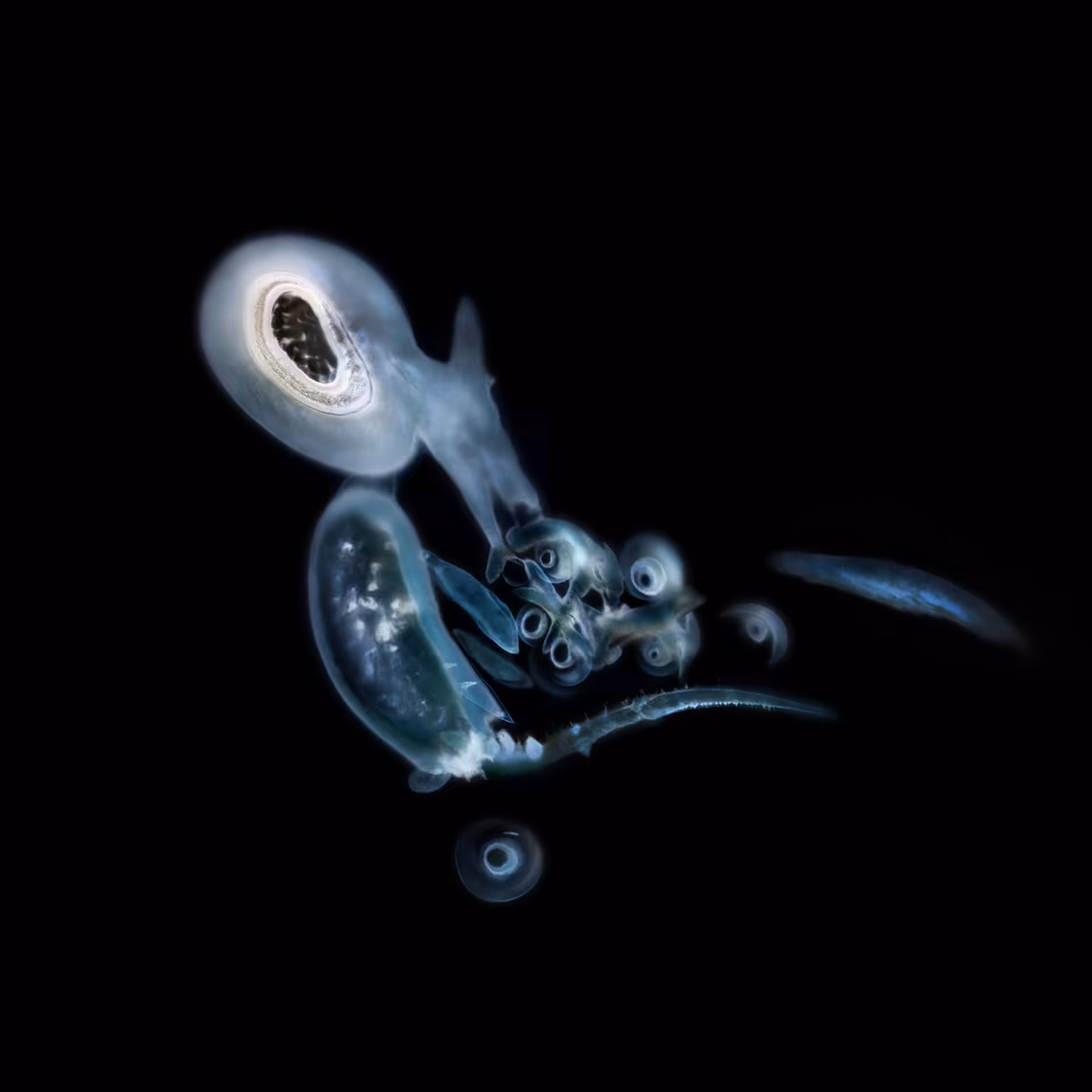 Sperma 45