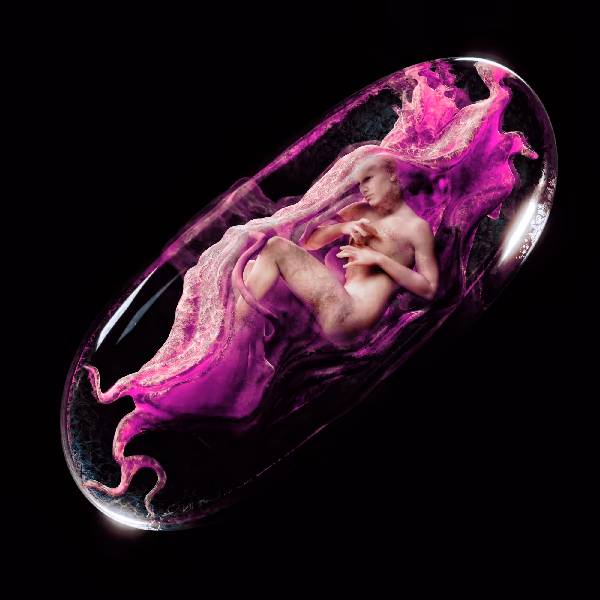 Conception