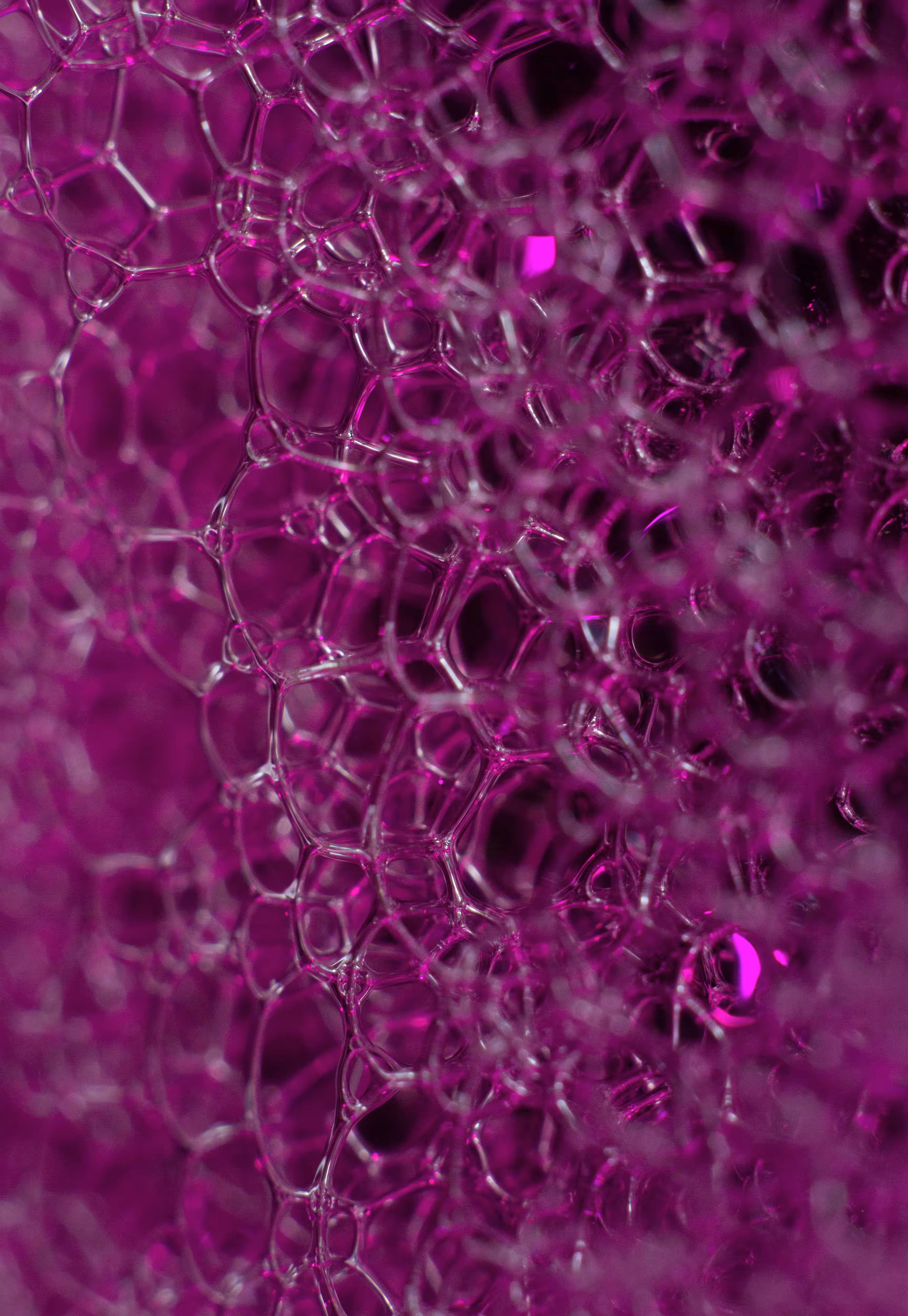 Abstract World of Soap Bubbles: #144 Bubbles