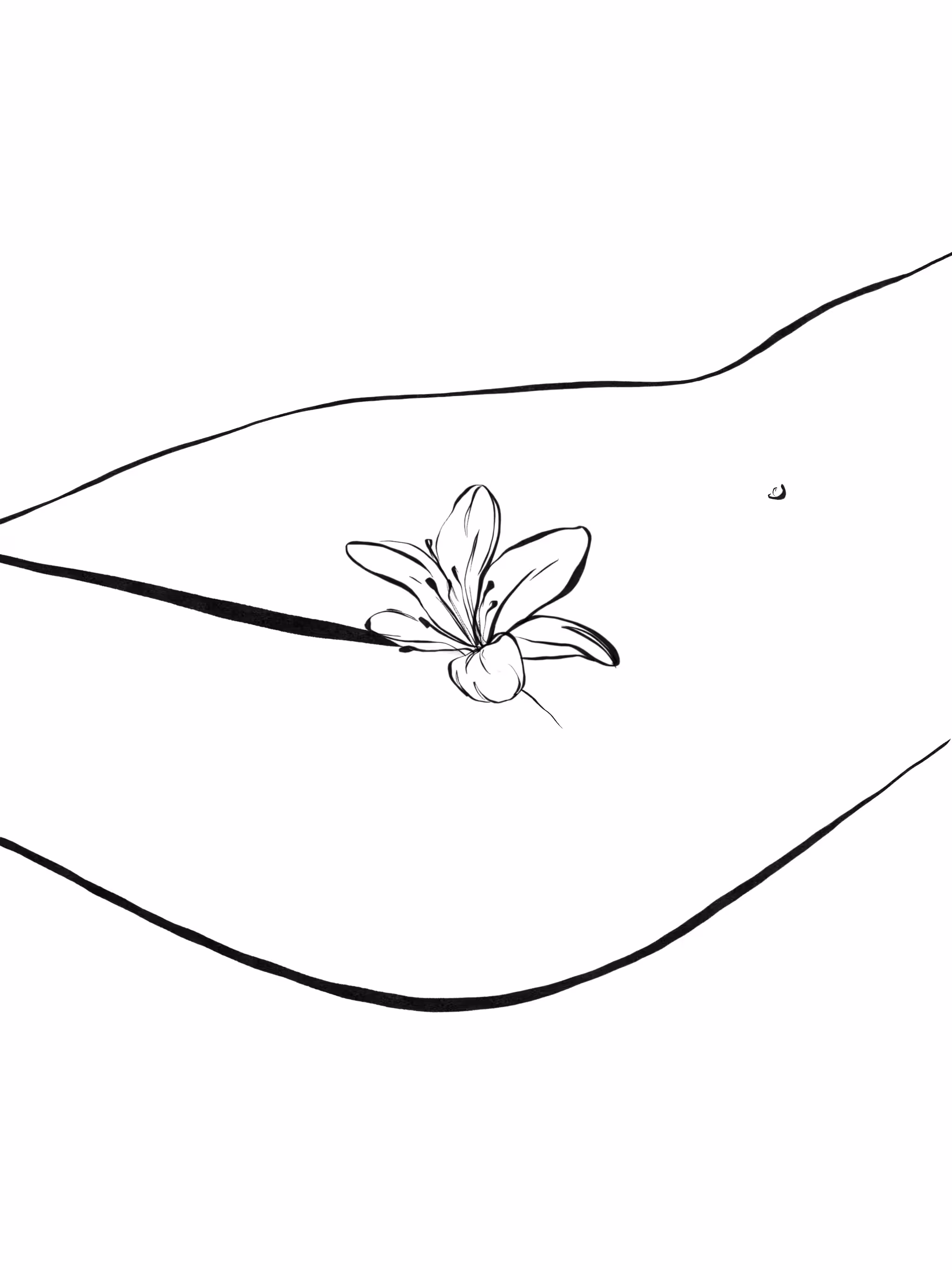 Woman is a Flower