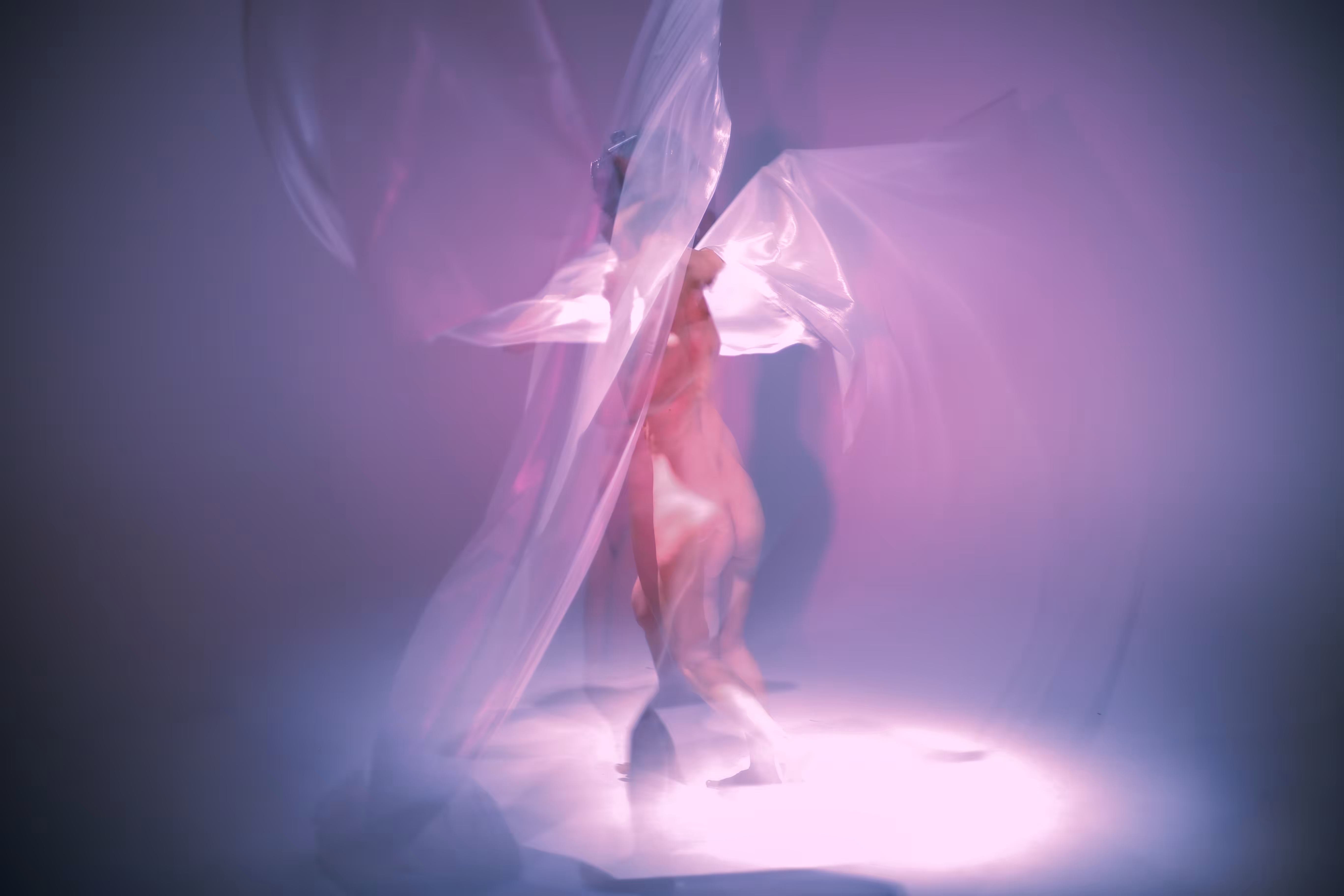 Photographic Languages: Angel