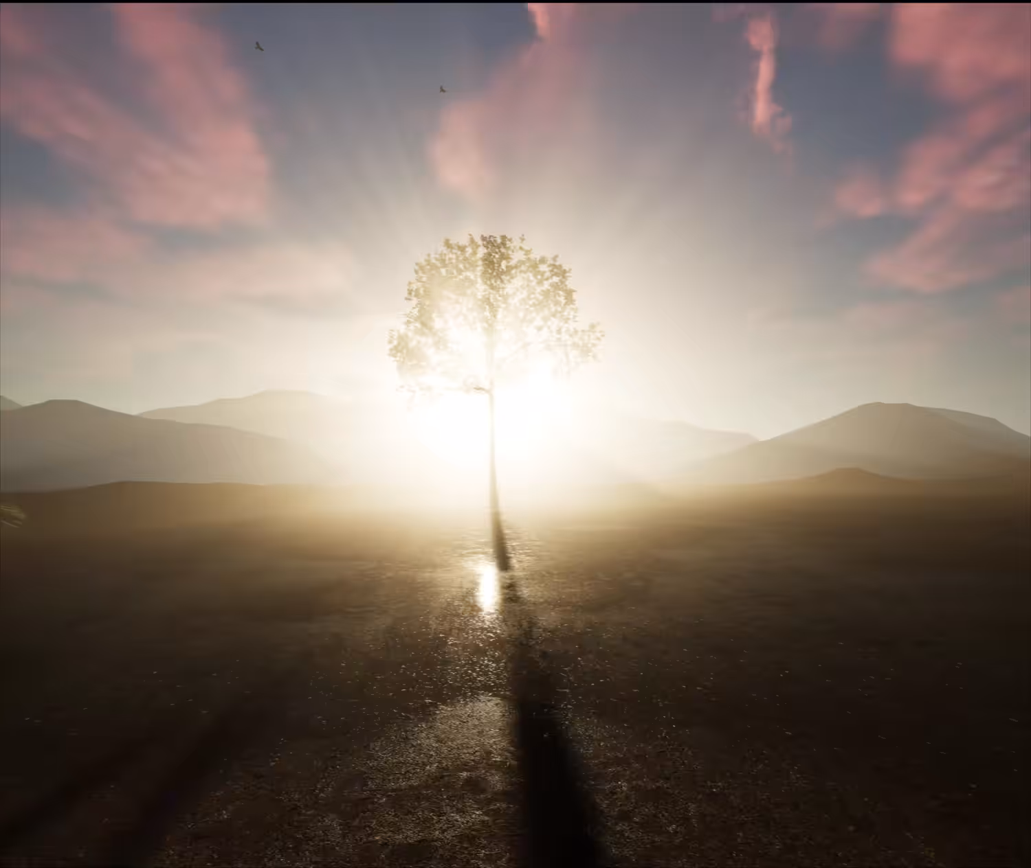 I SEE THE FUTURE ( I FOUND PEACE IN THE CHAOS ) 