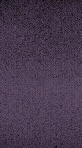 Anomaly