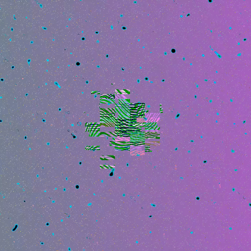 Seed and Spores #26