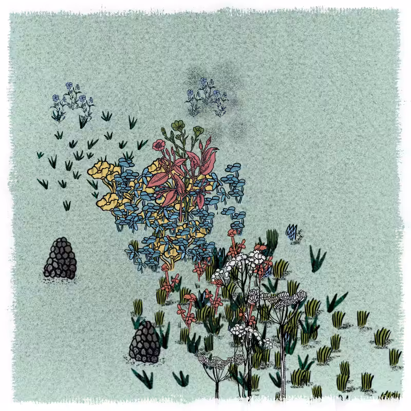 Gardens  #197