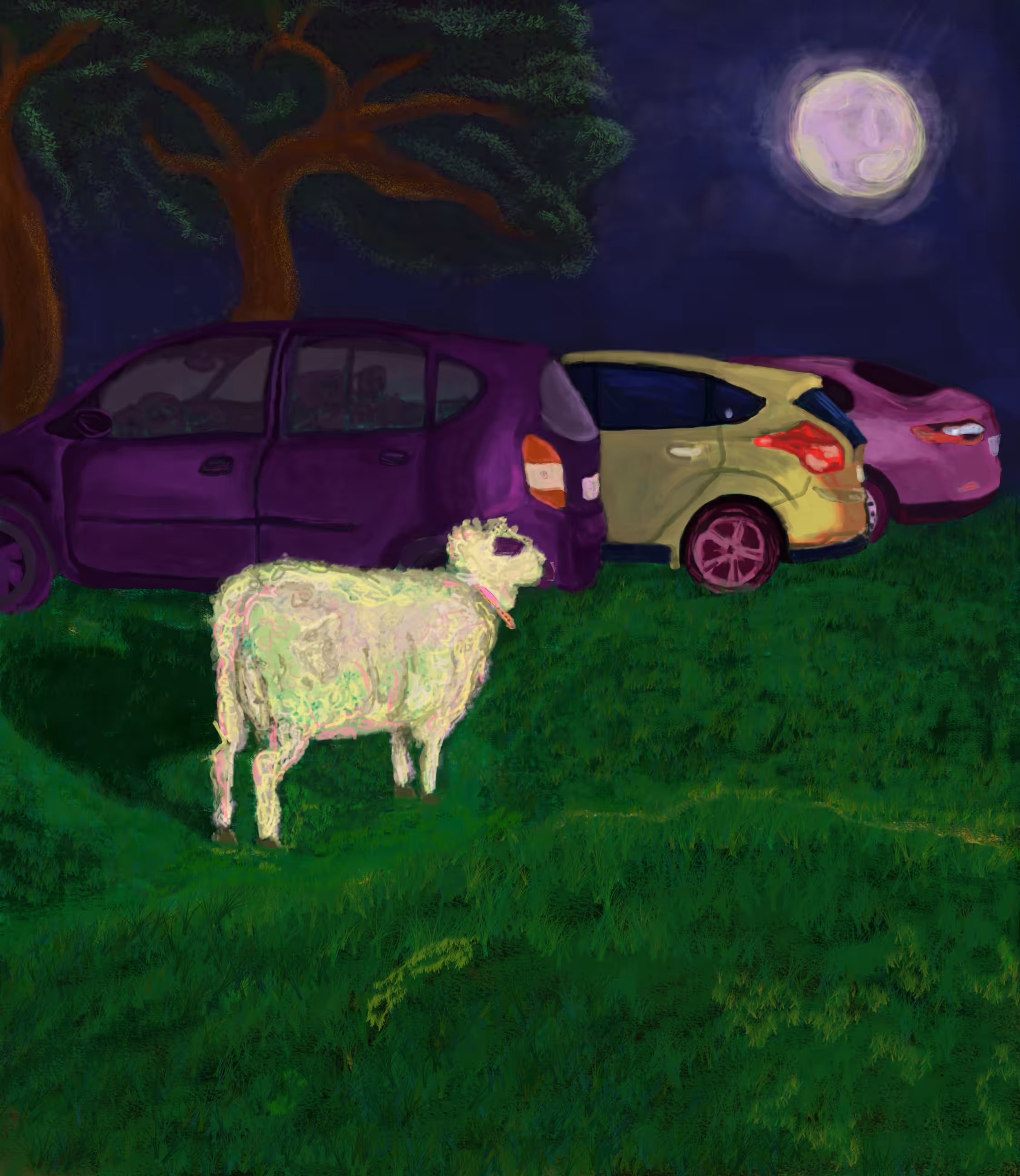 New r3ality - Nueva Realidark /Collection/ Sheep