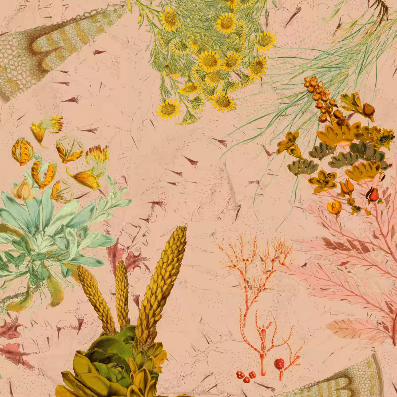 future flora from Antarctica's past #57