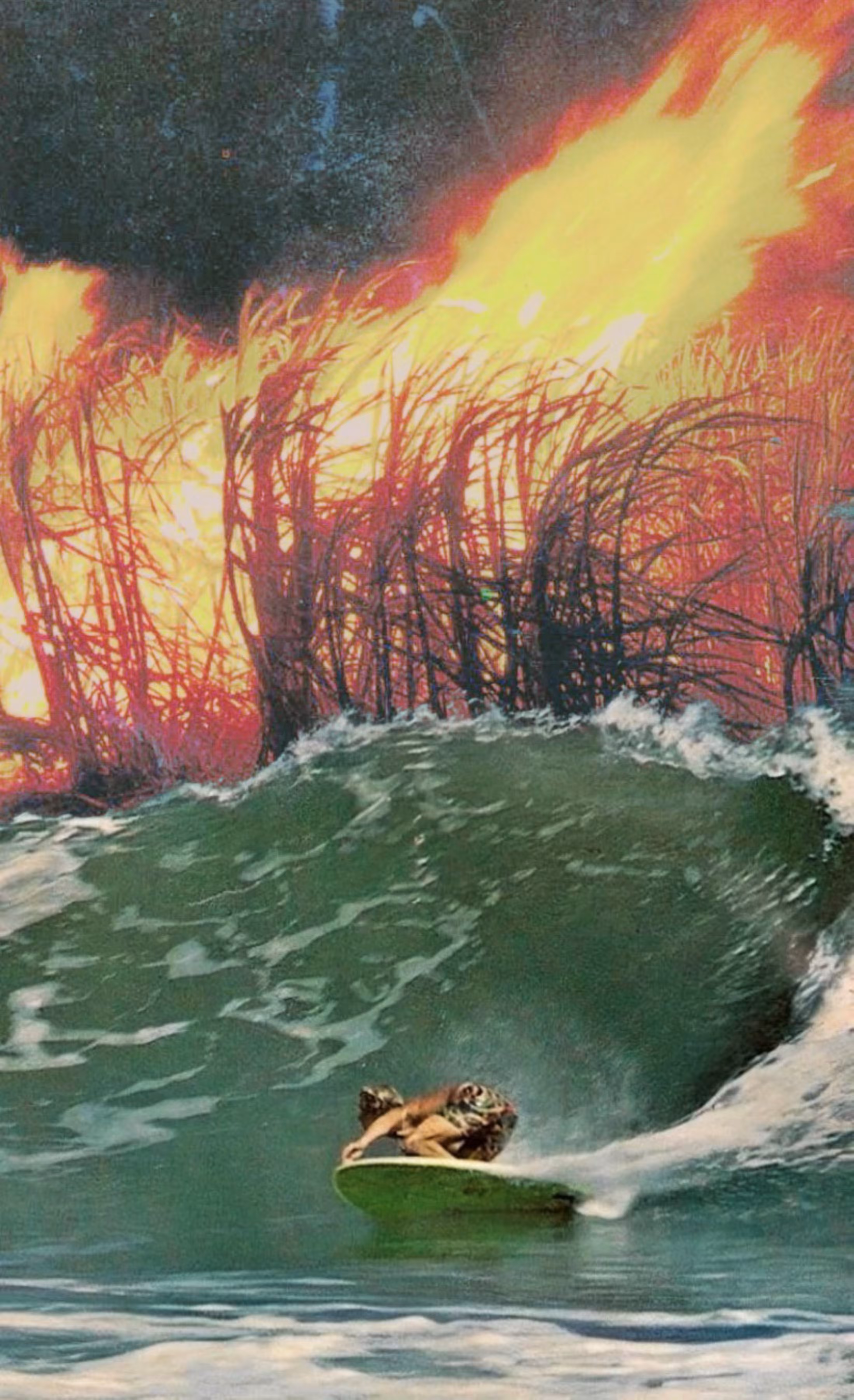 Surf Curse