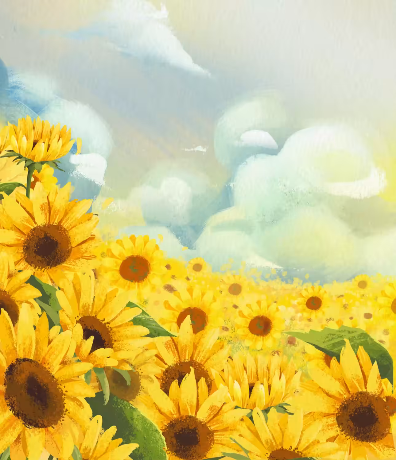 Joyful in sunflower field