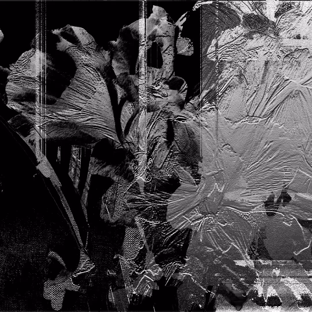 shadow #3