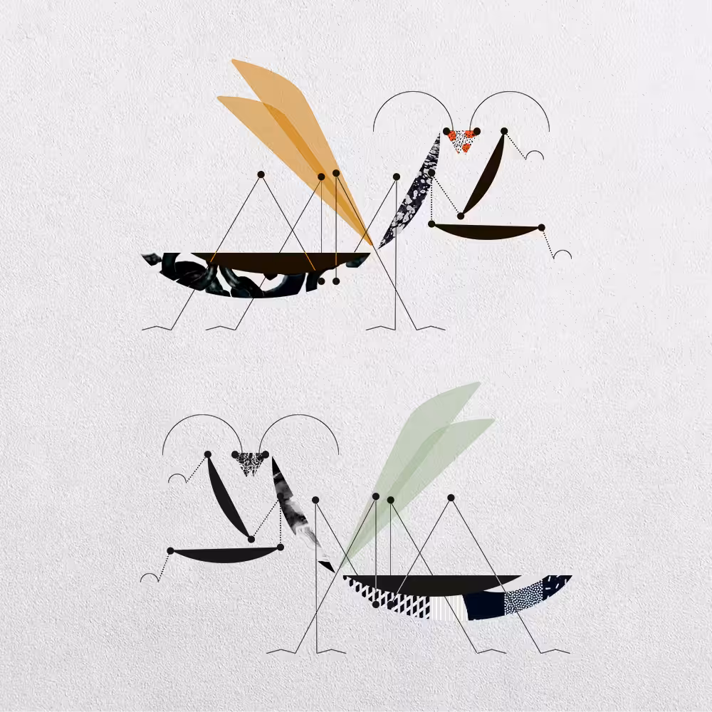 Mantis Abstraction #8