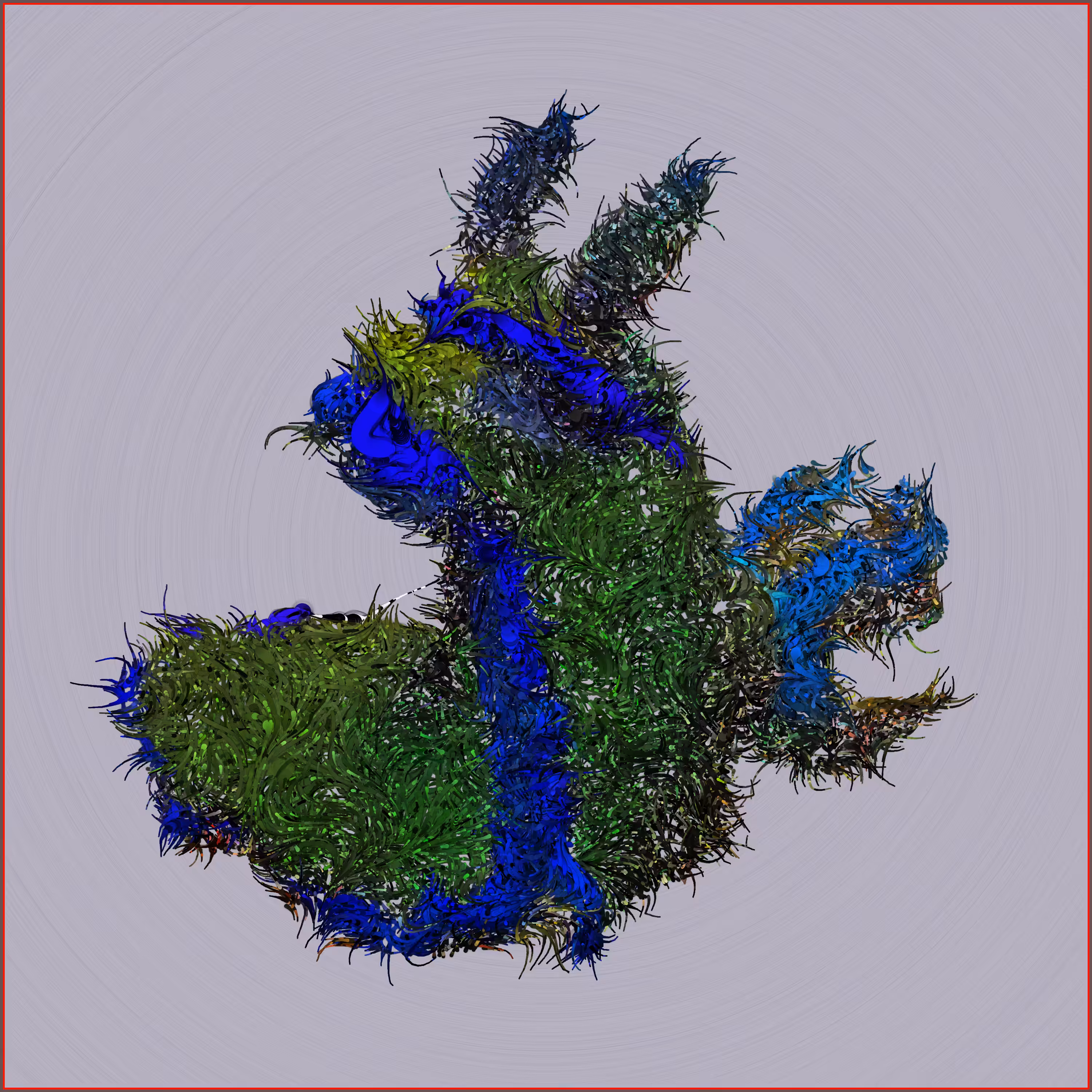 Nudibranch #3