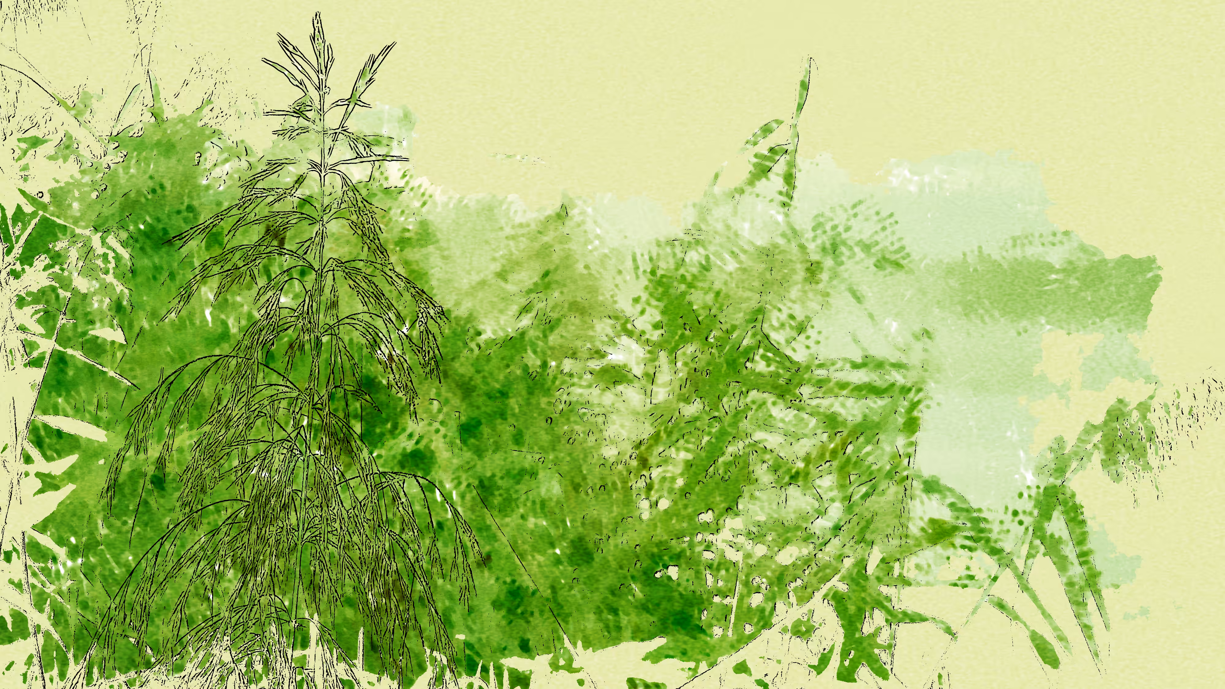 GreeNature