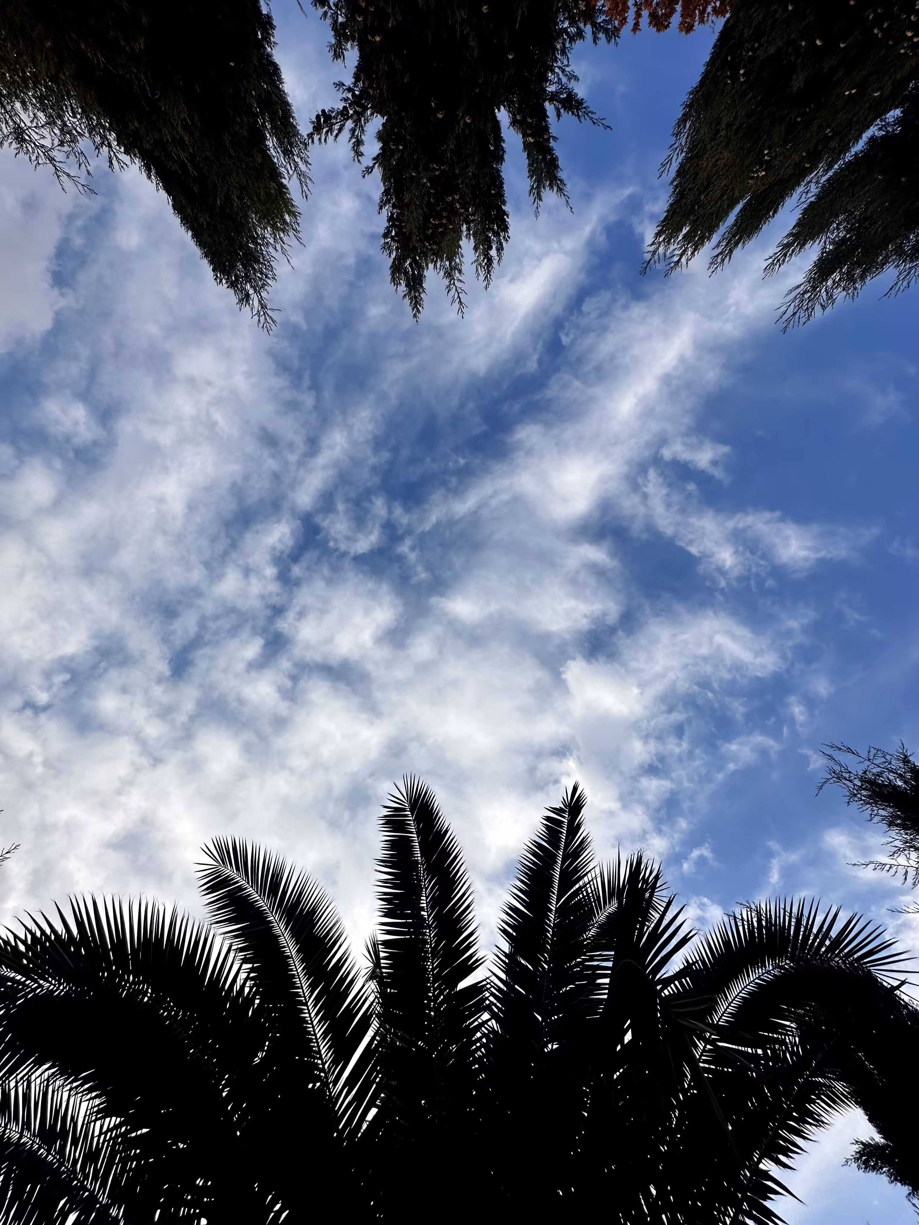 Merrylands.Photography: Merry-Photo 35