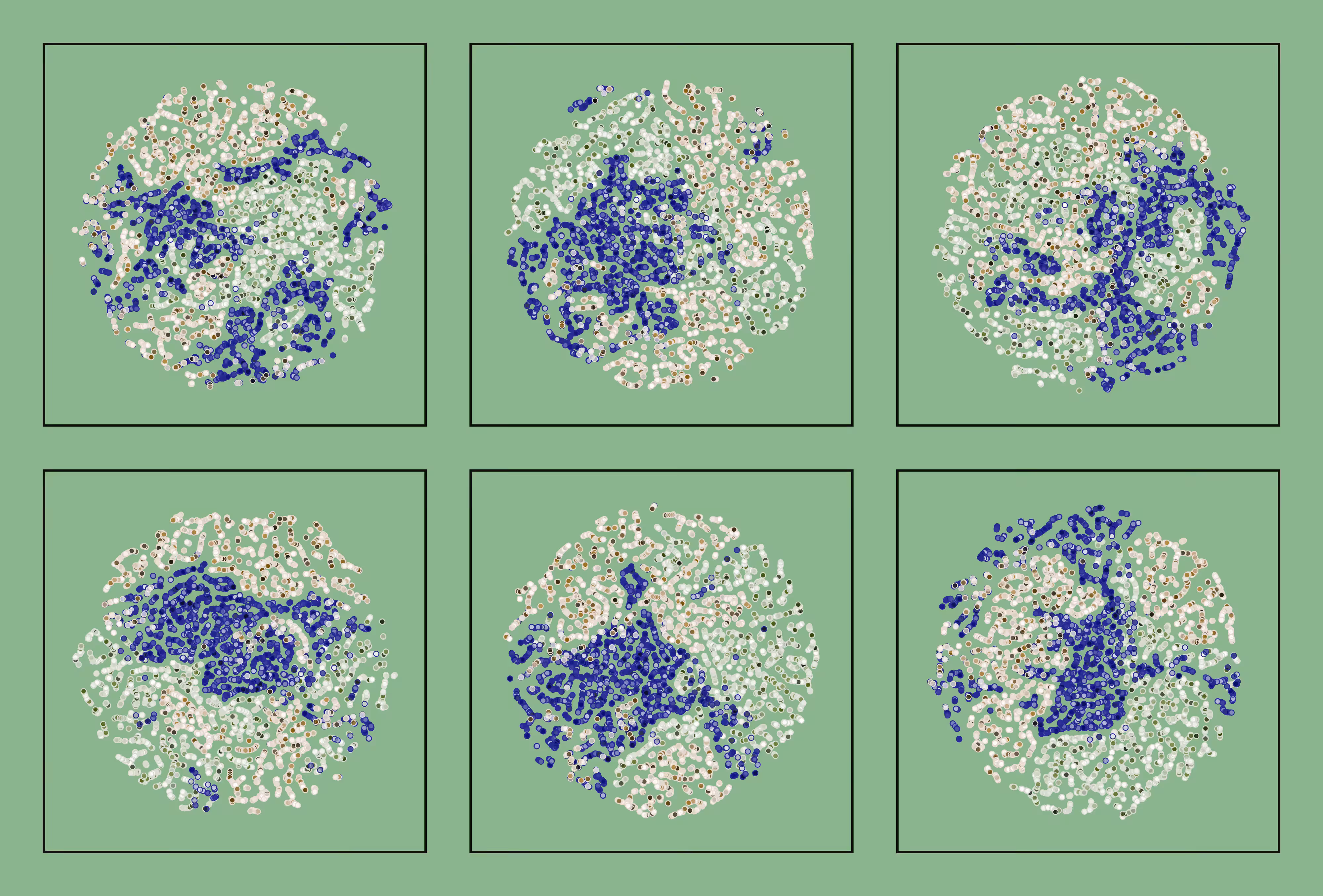 t-SNE #12