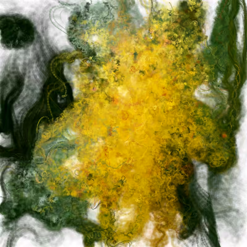 Hypericum #141