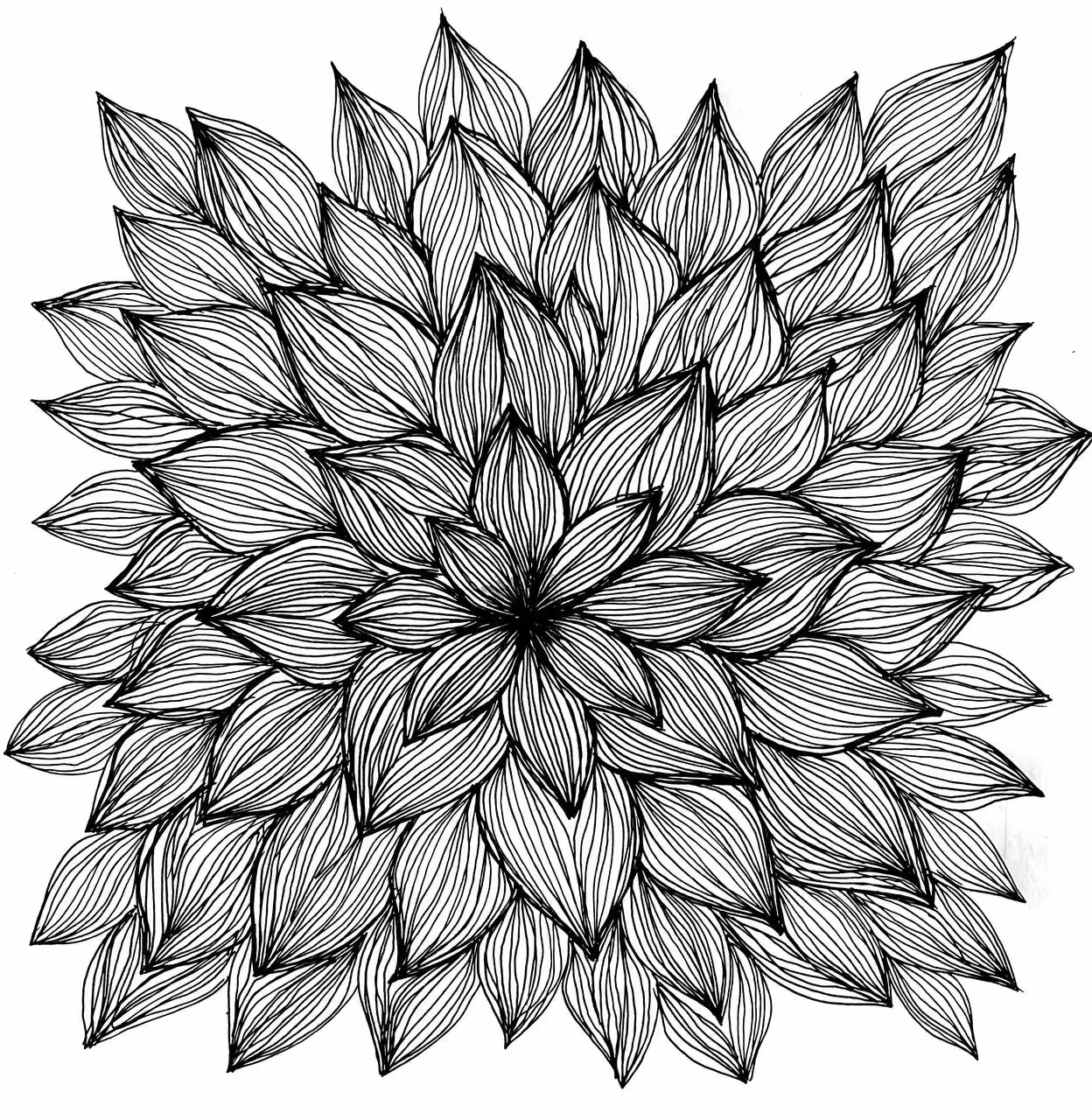 Mandala : Dance of lines