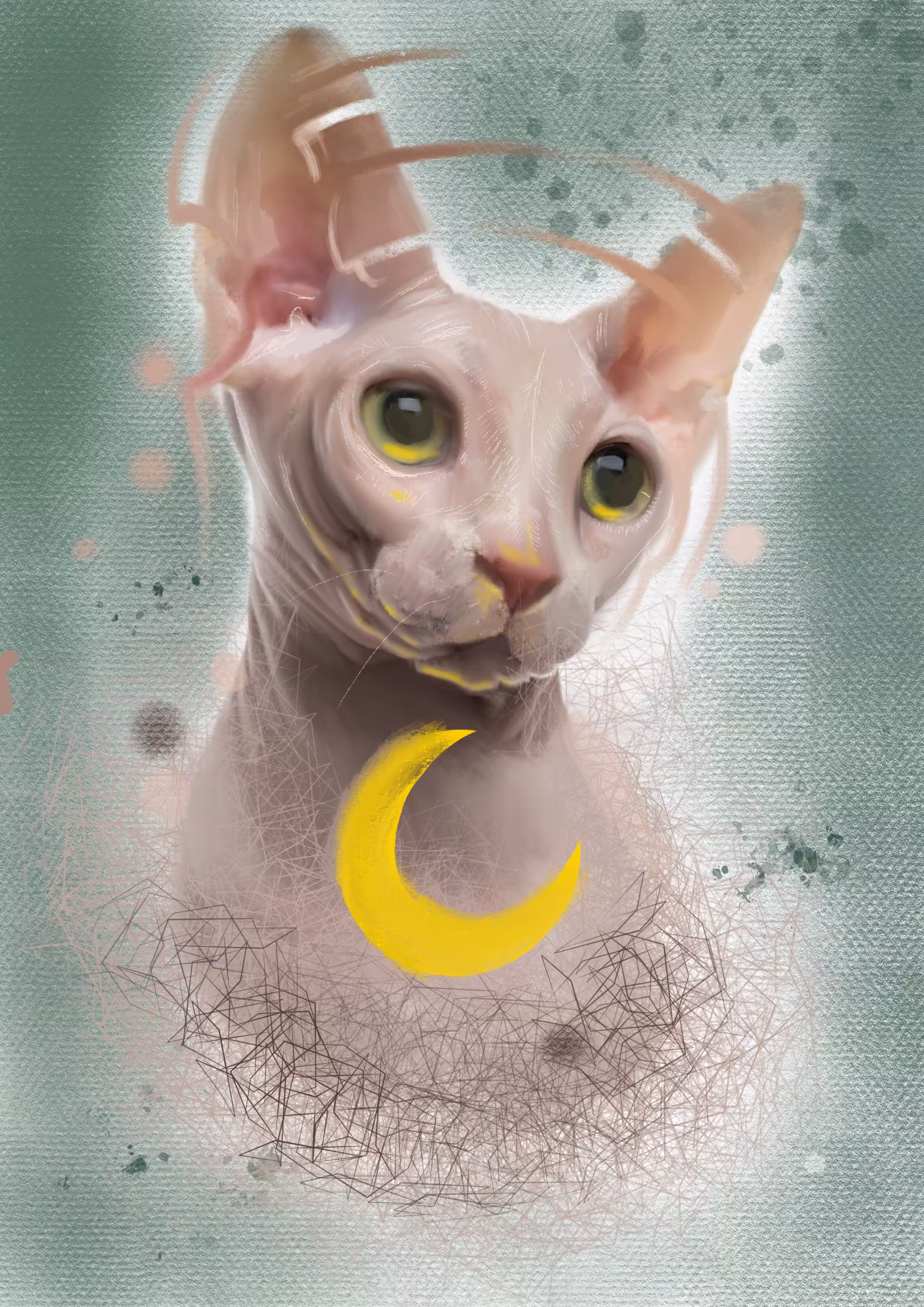 sphynx