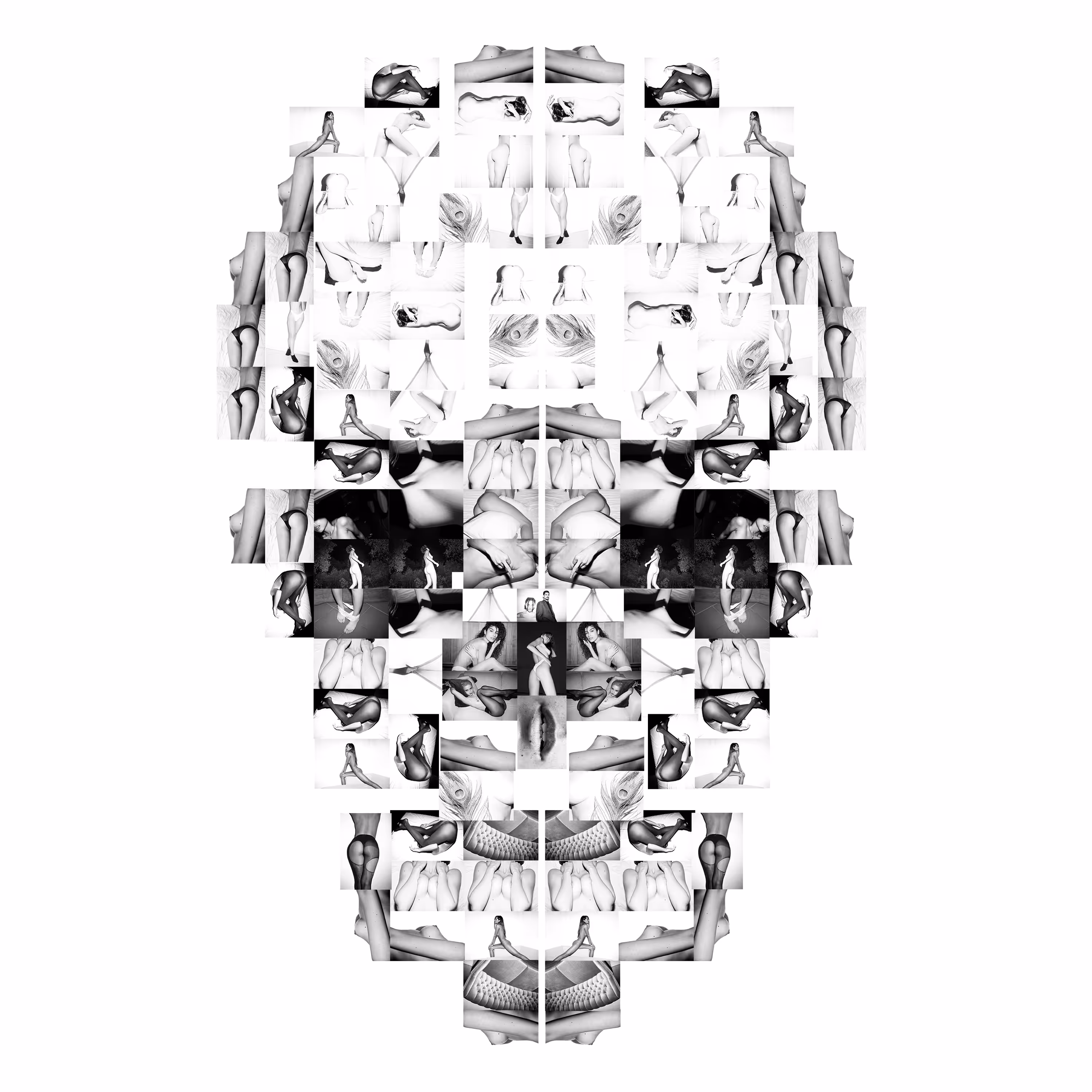 Skull Photo Collage