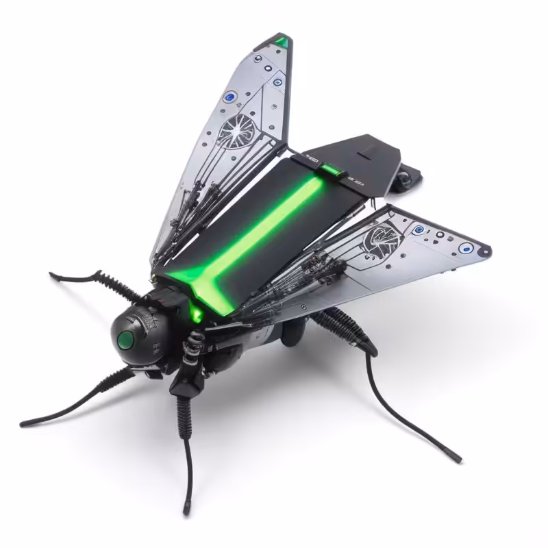 FLY_1