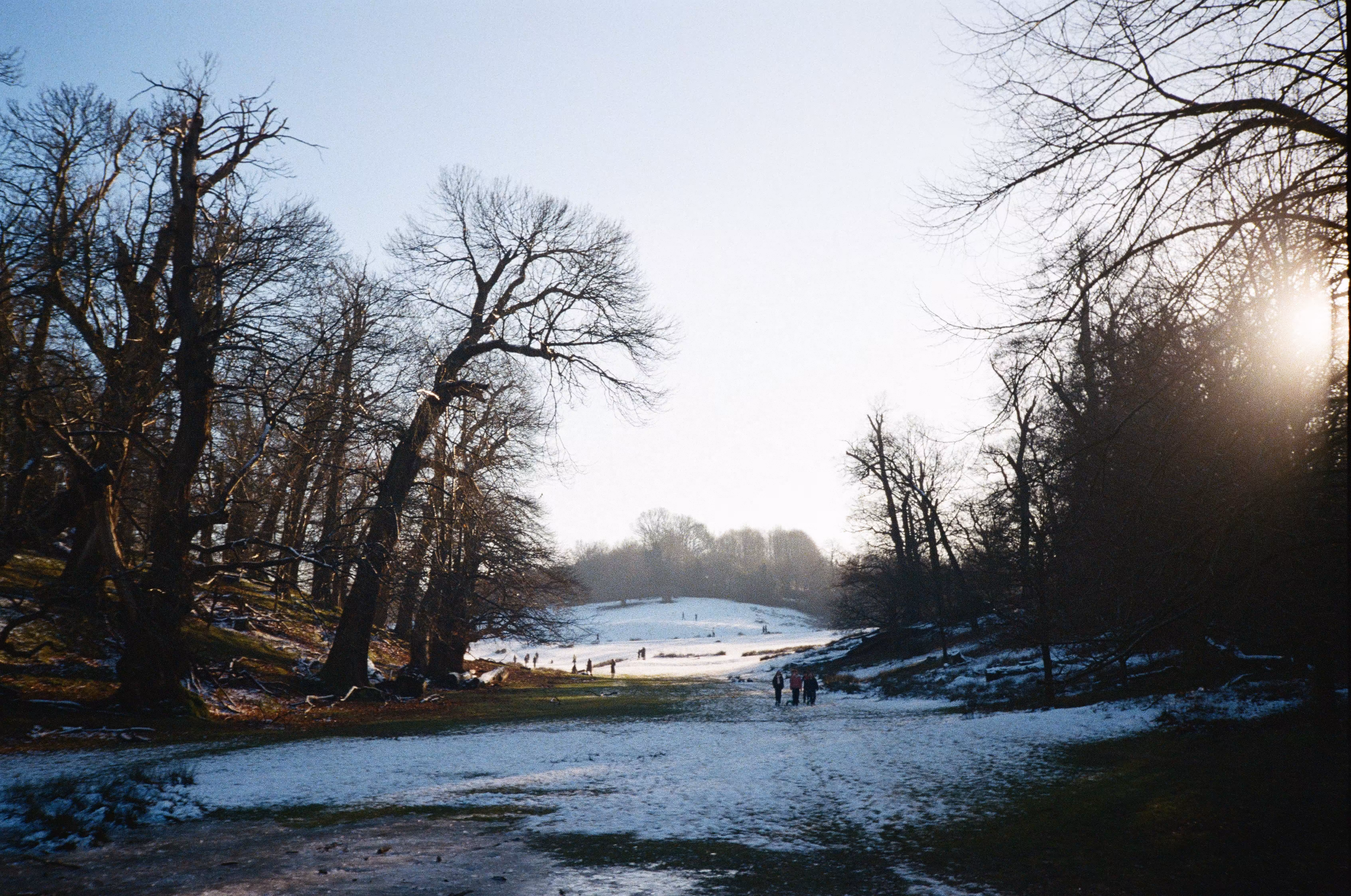 Snowy days on film part 3