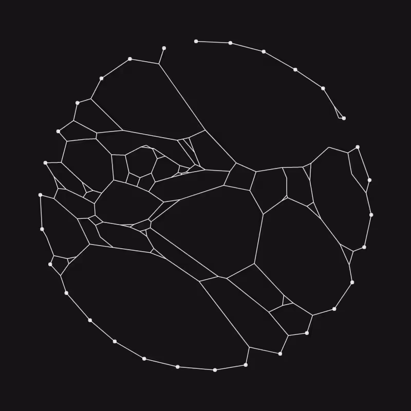 Elastic Web #198