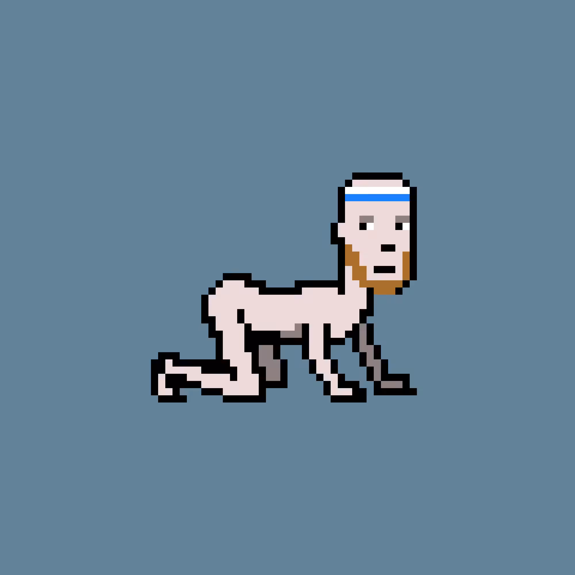 CrawlingPunks: CrawlingPunk #4355