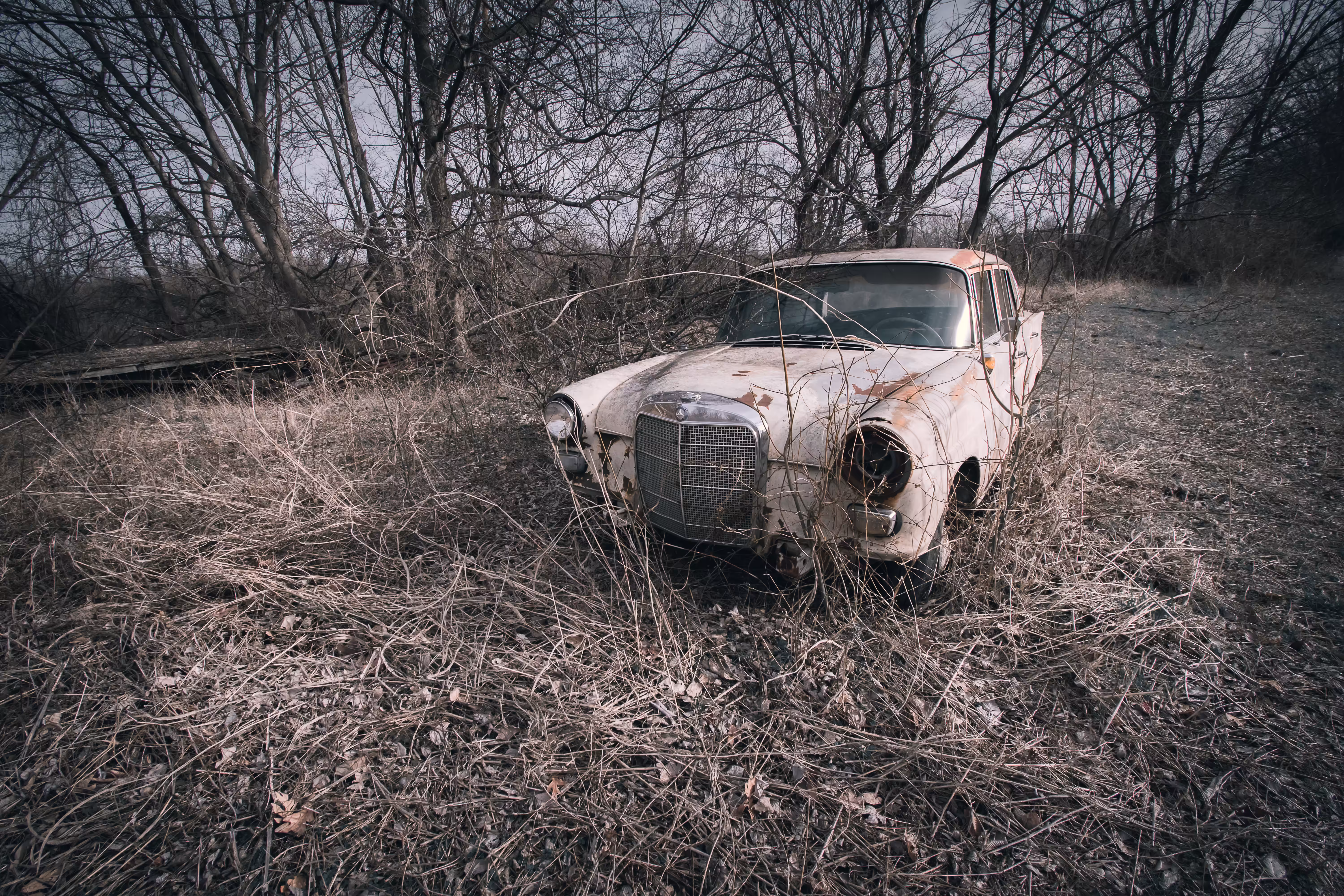 Wild Abandon