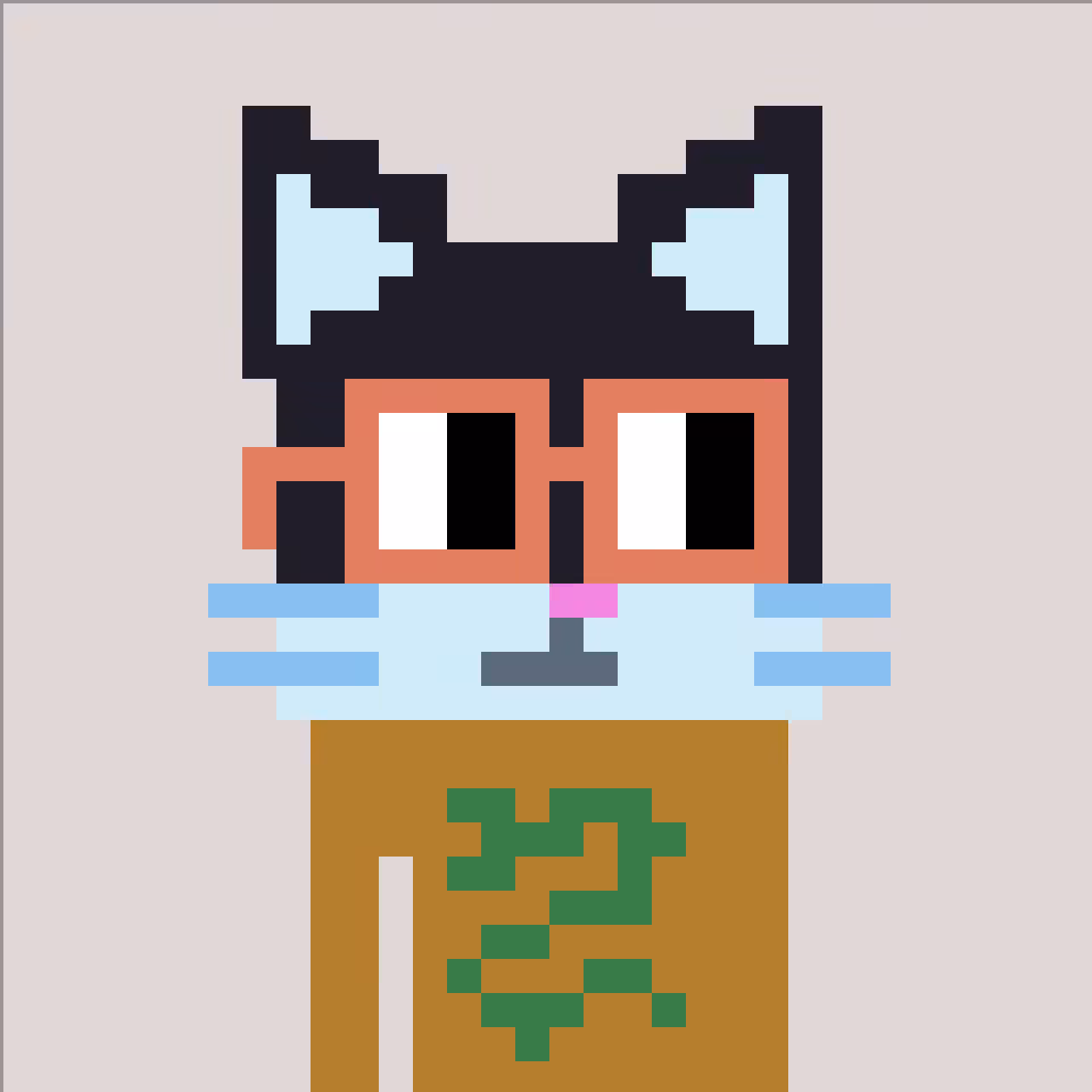 catface14