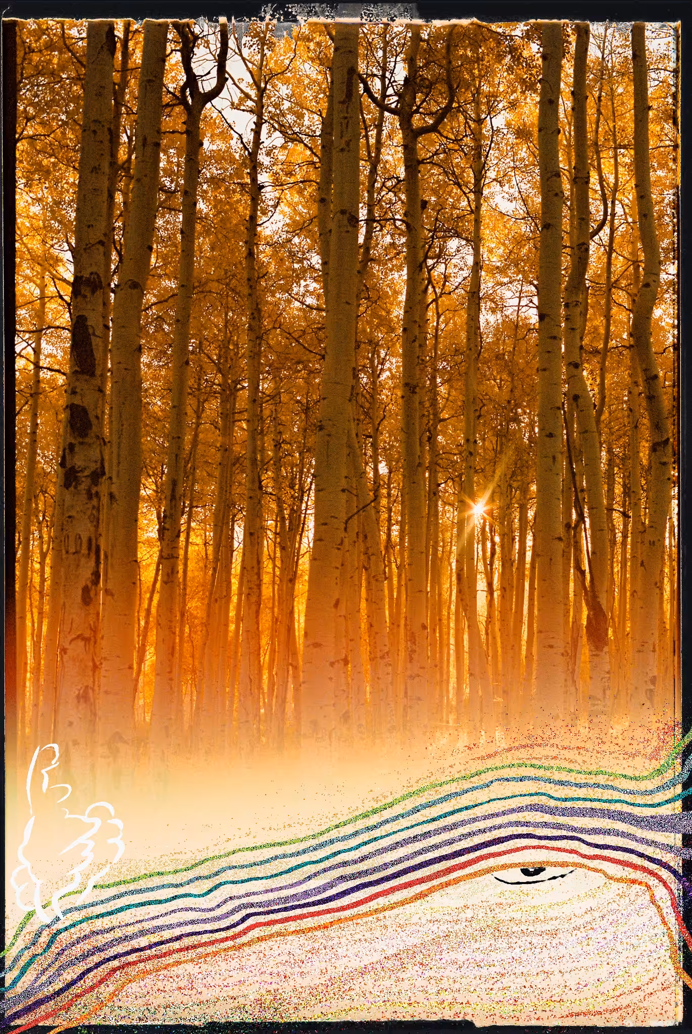 Forest Spirit