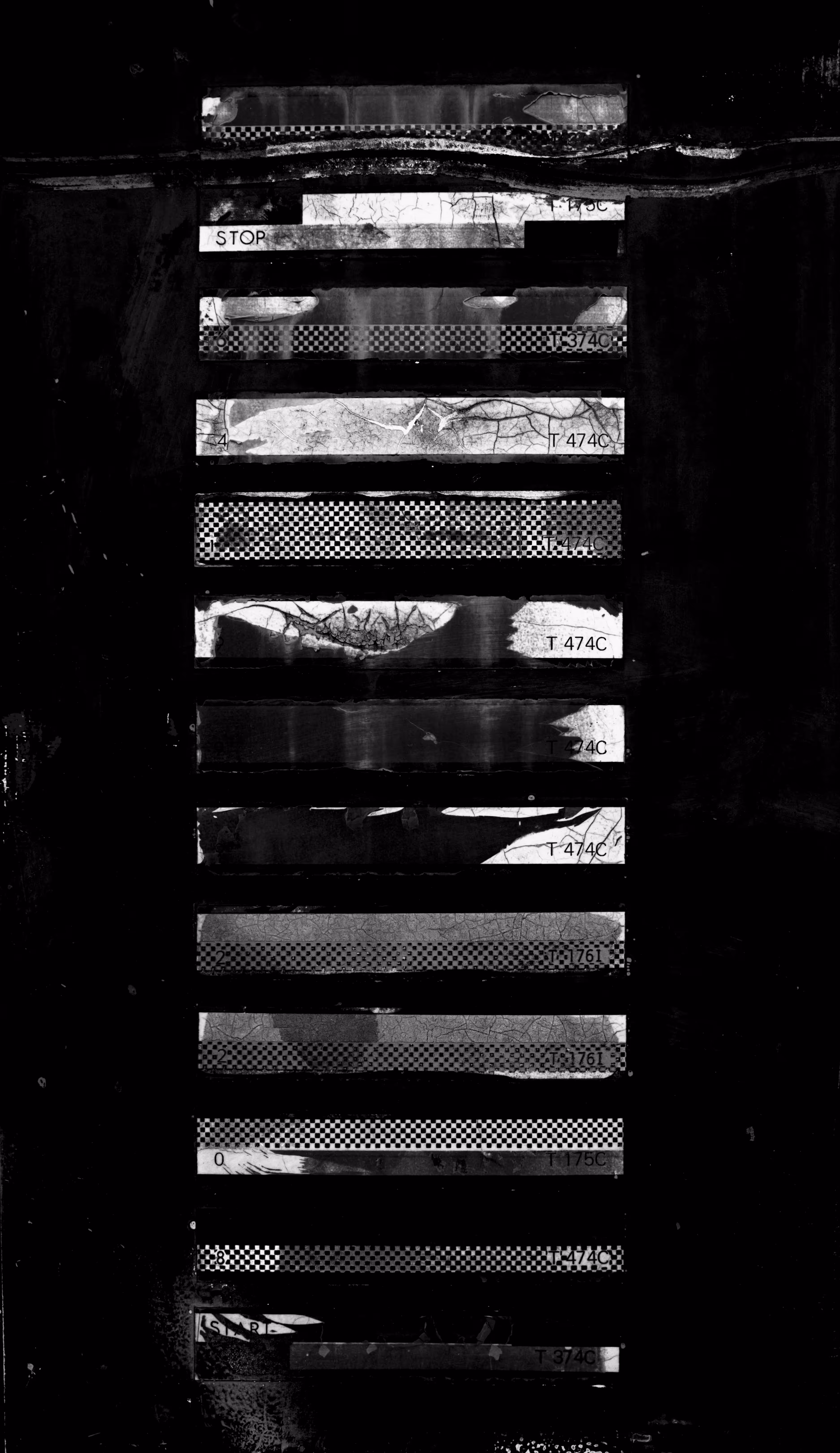 Tin Lizards Untitled #129