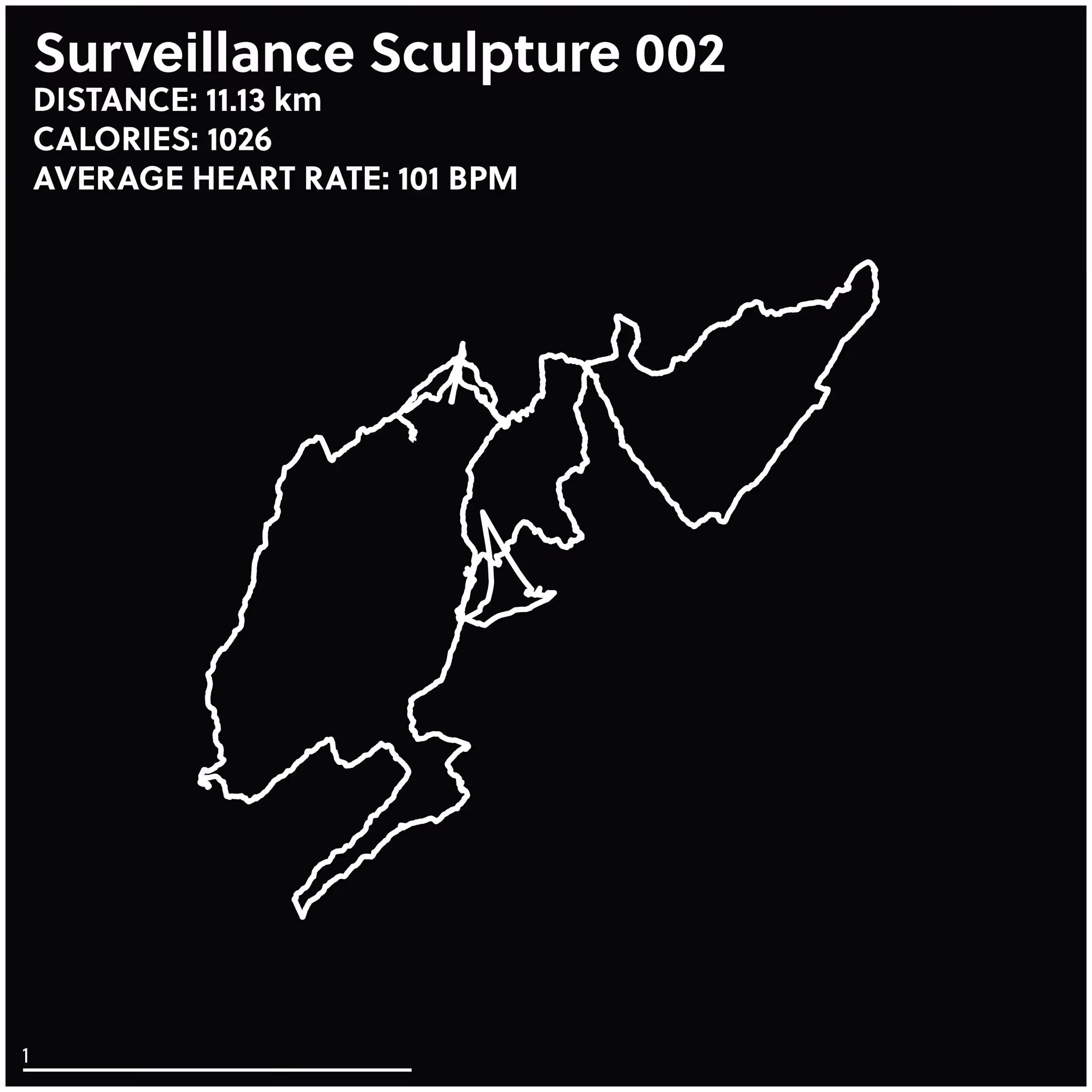 Surveillance Sculpture 002