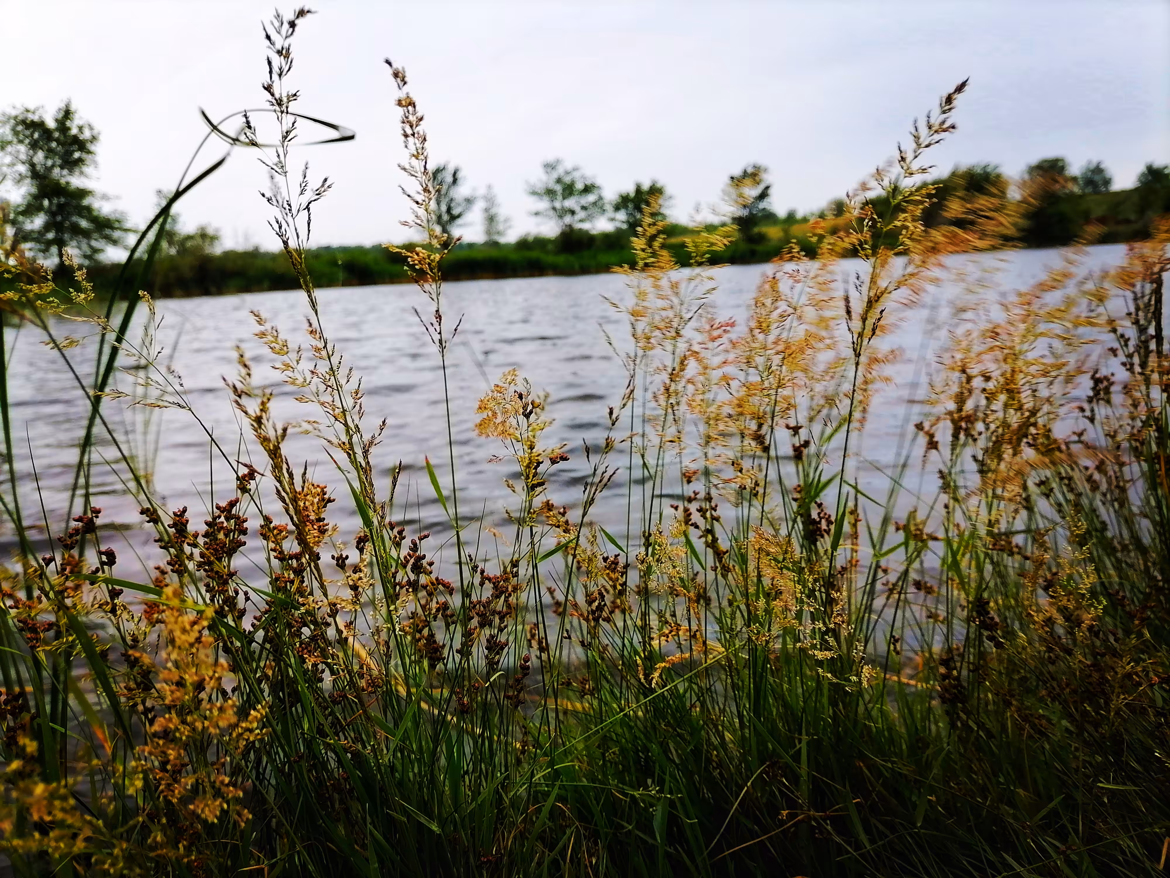 On the shore of the lake