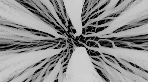 IMMORTALITY: Proxemics