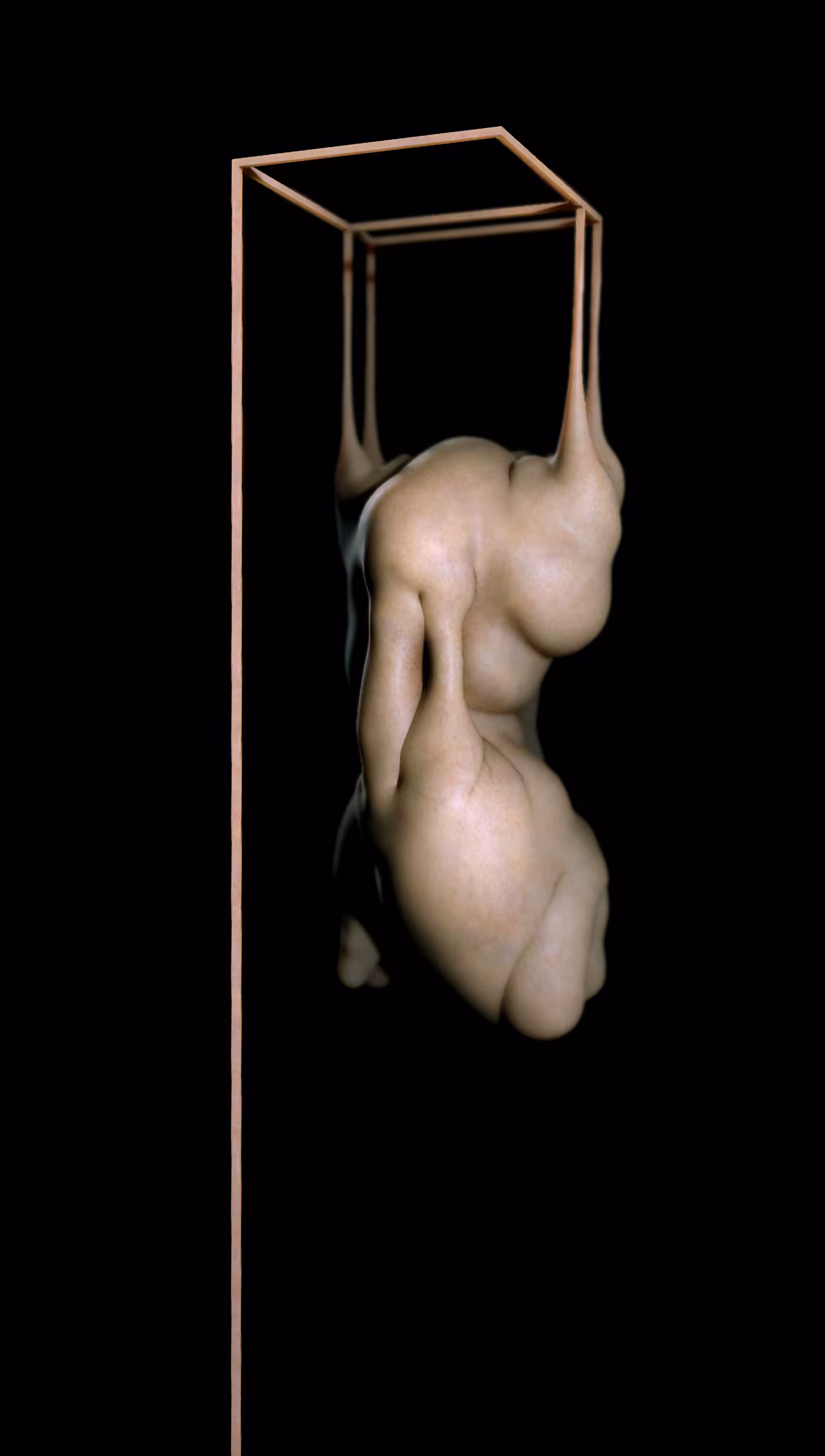 Human Reconfiguration XII