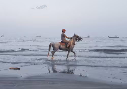 Last Beach #7