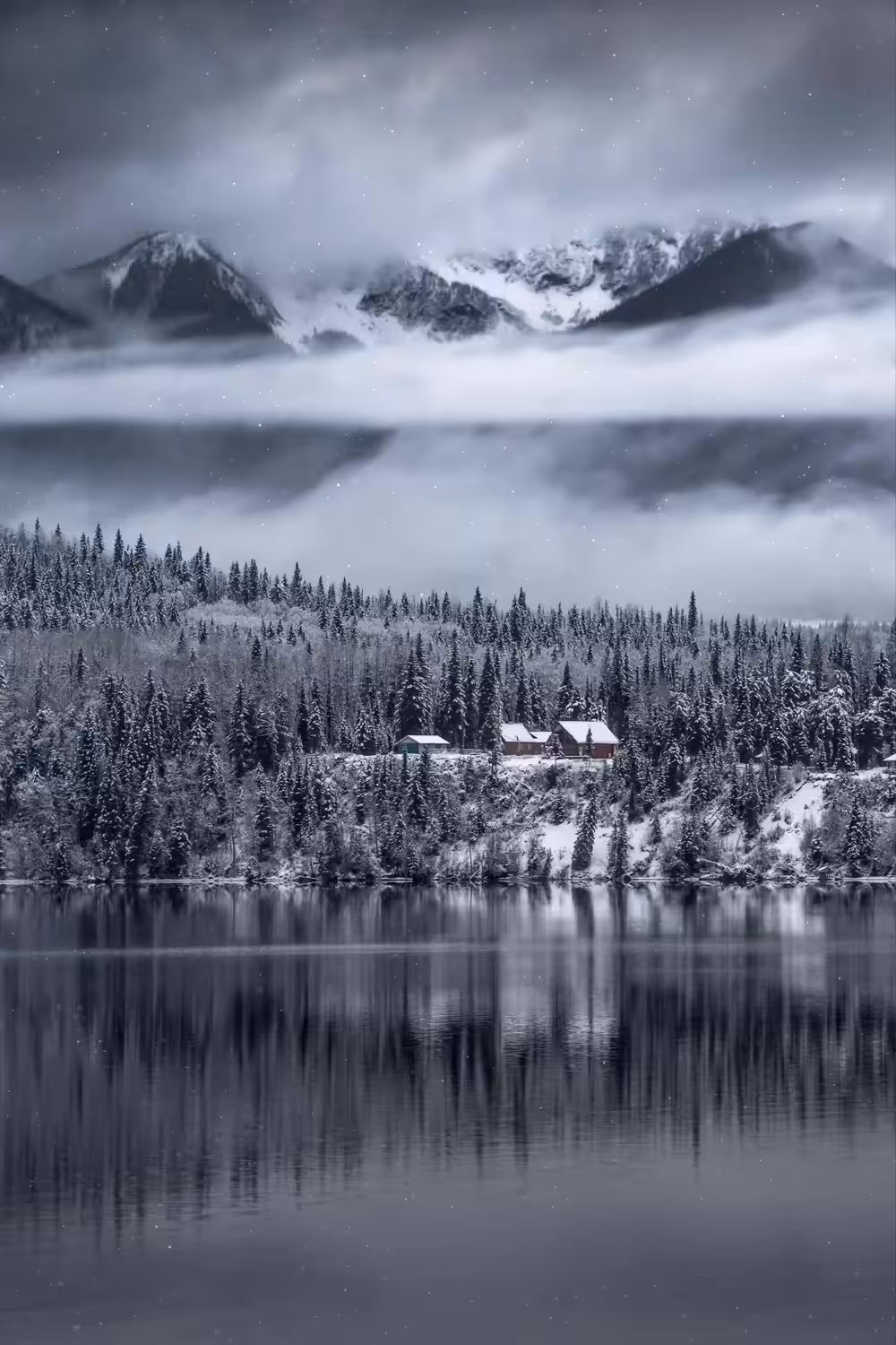 Fortitude